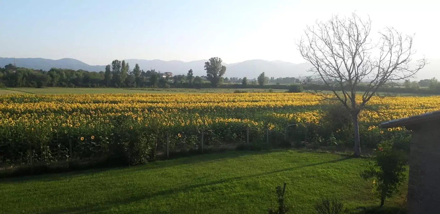 Garden in Il Casale dei Nonni