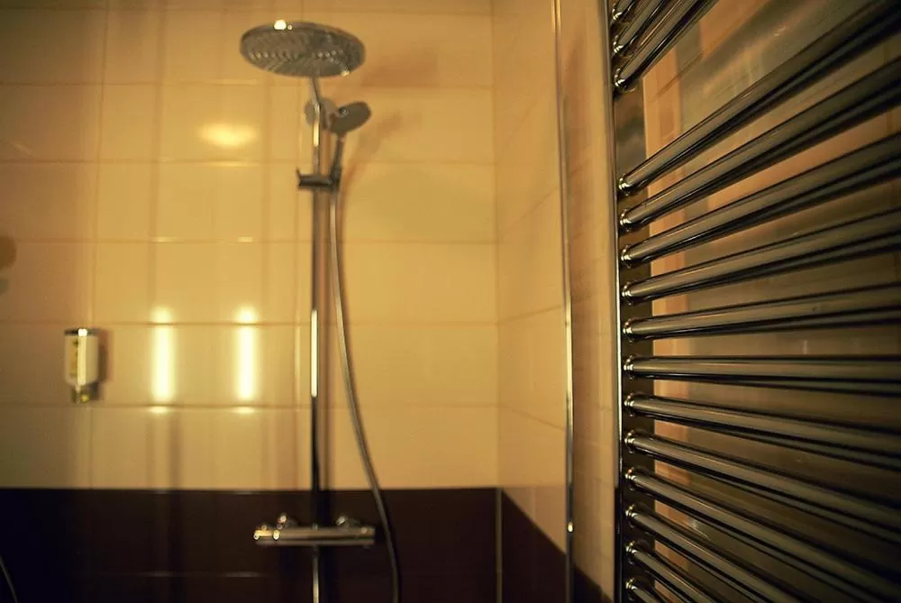 Bathroom in Hotel Opara