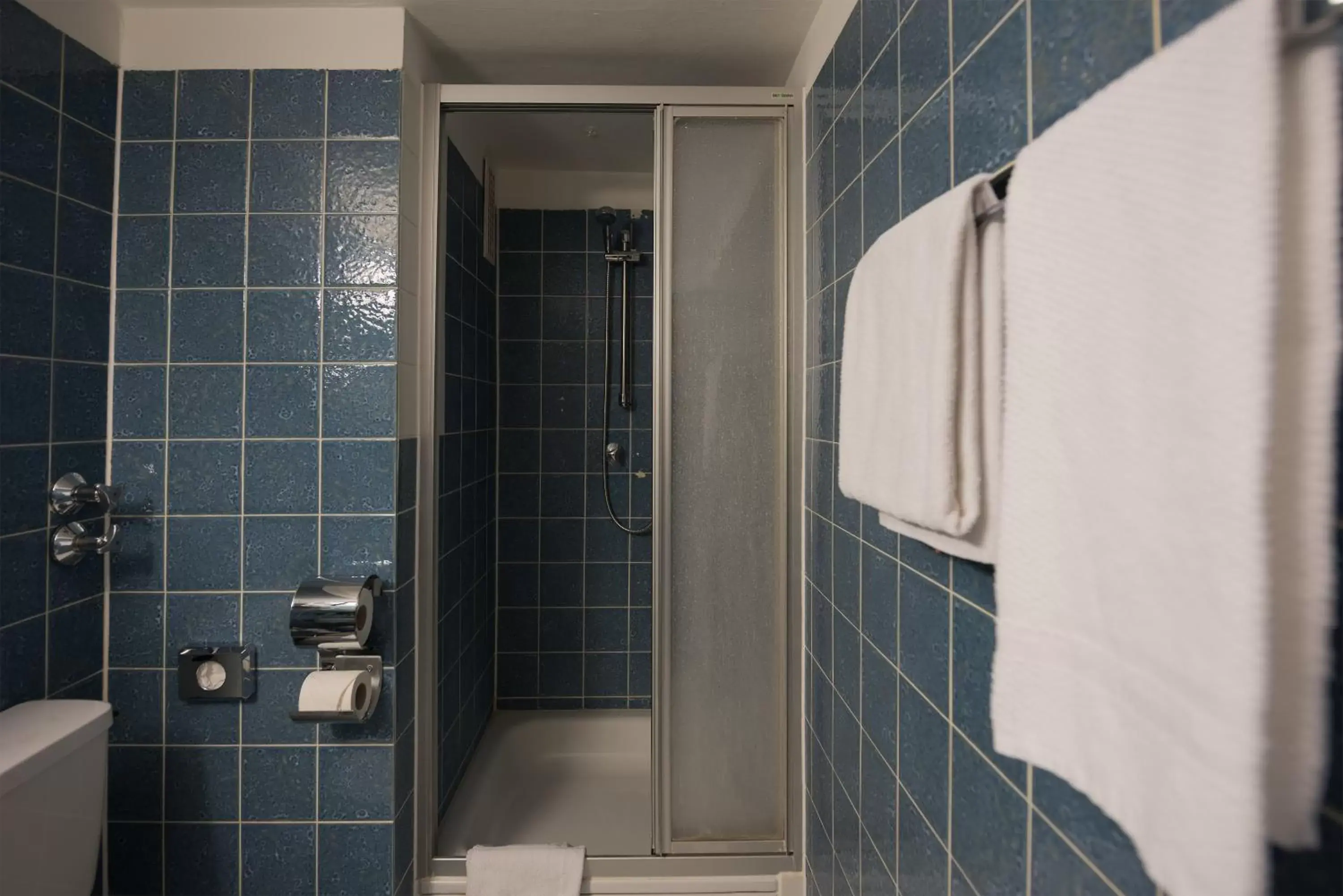 Shower, Bathroom in Tagungshotel Höchster Hof