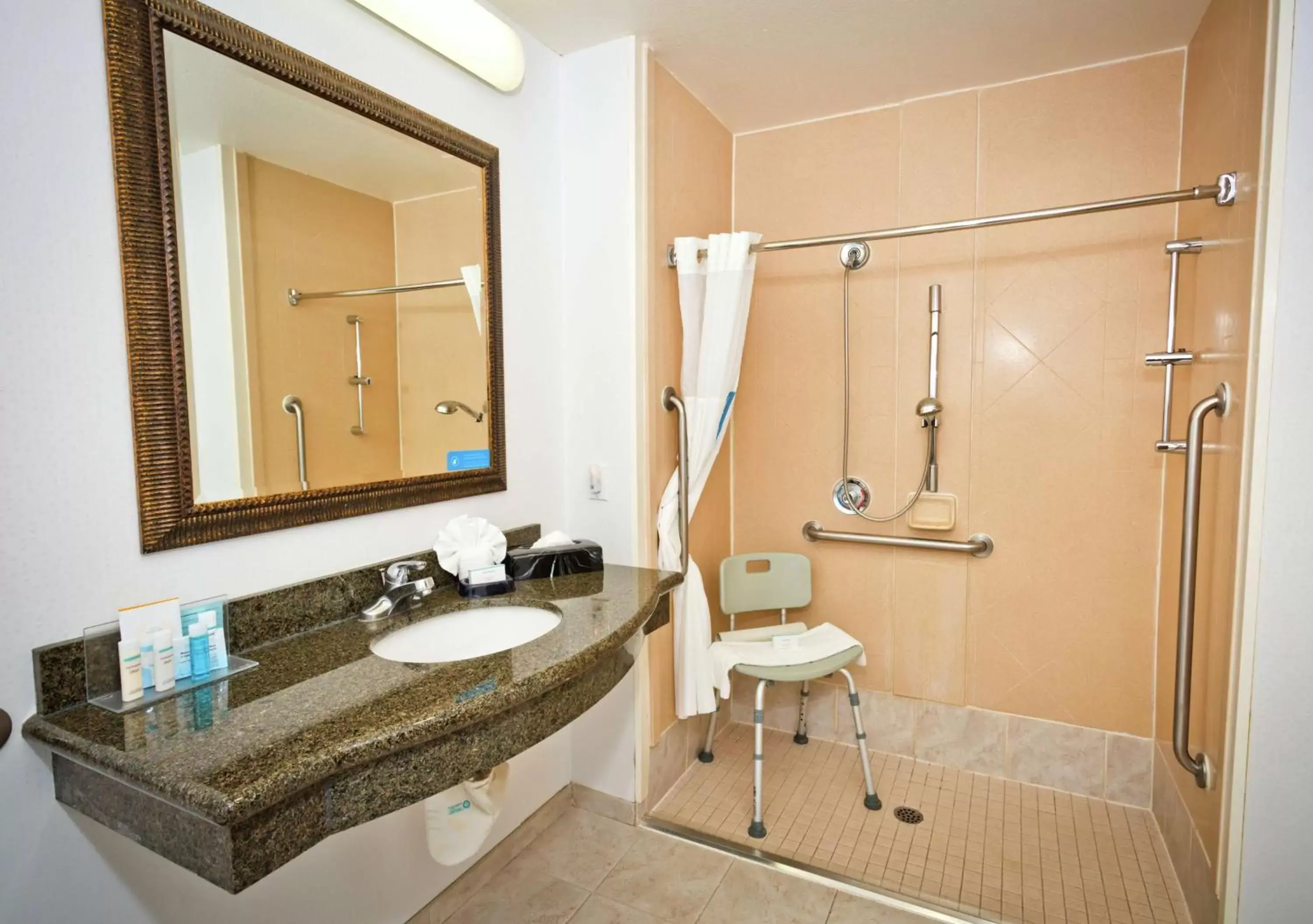 Bathroom in Hampton Inn & Suites Sacramento-Auburn Boulevard