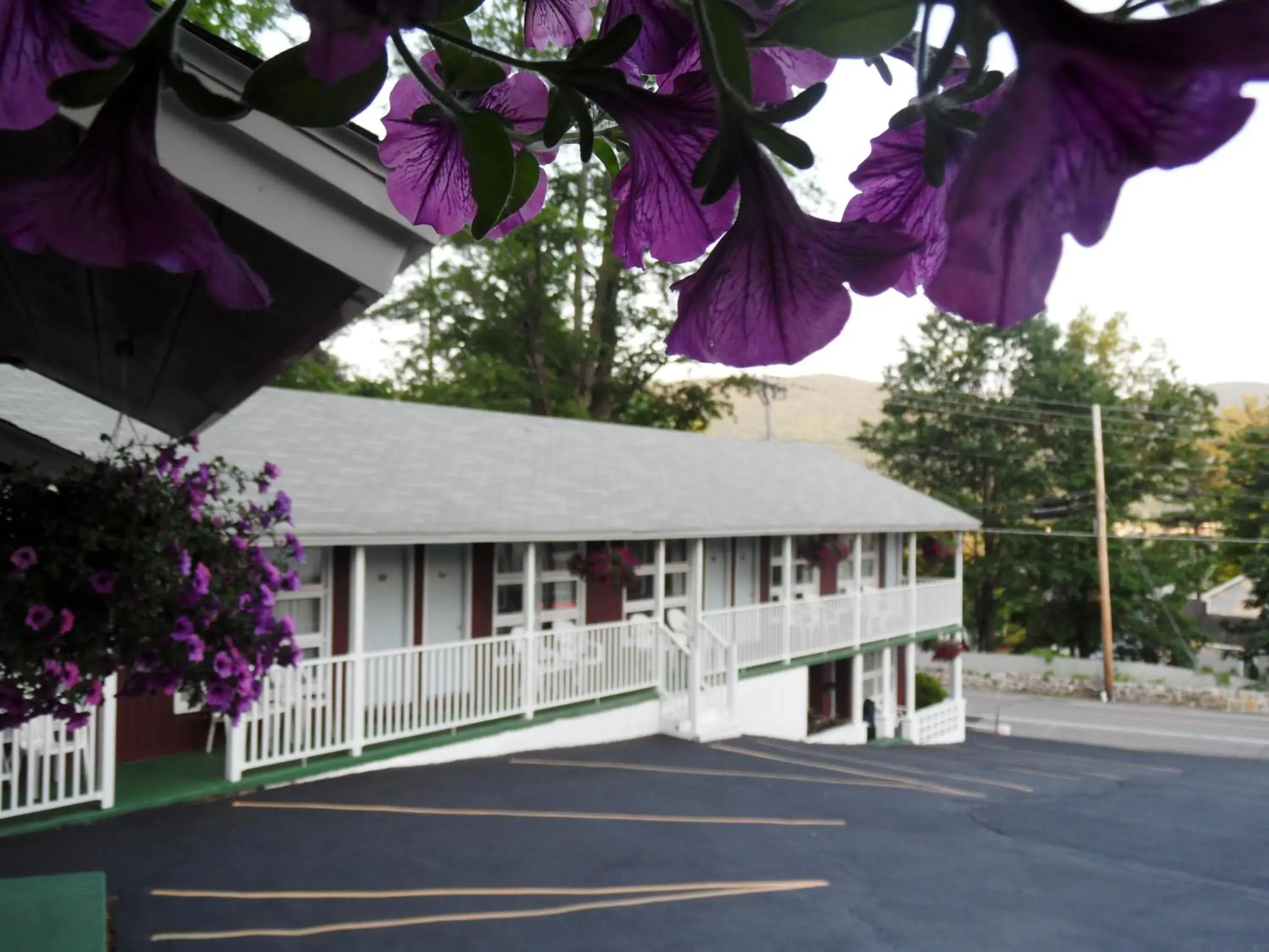 Patio, Property Building in Pinebrook Motel