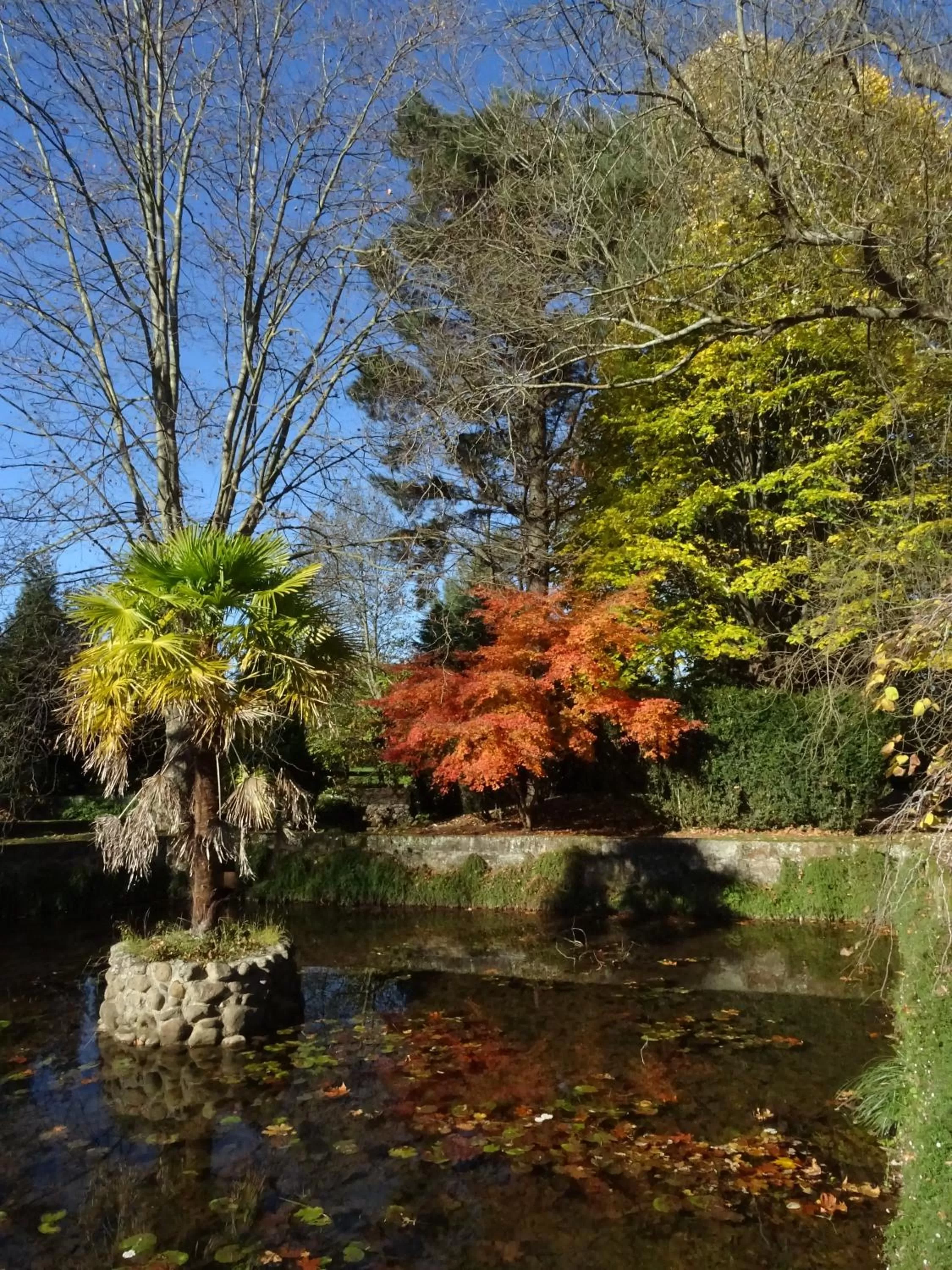 Garden in Jardin de Carrejo