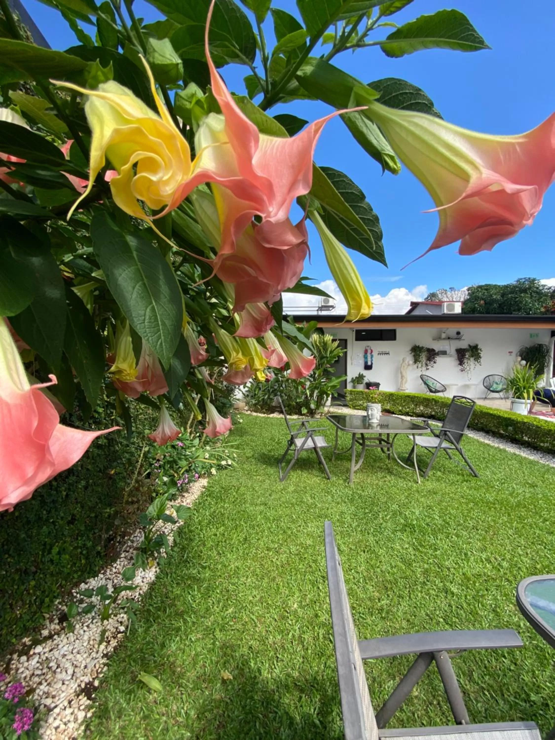 Garden in Berlor Airport Inn