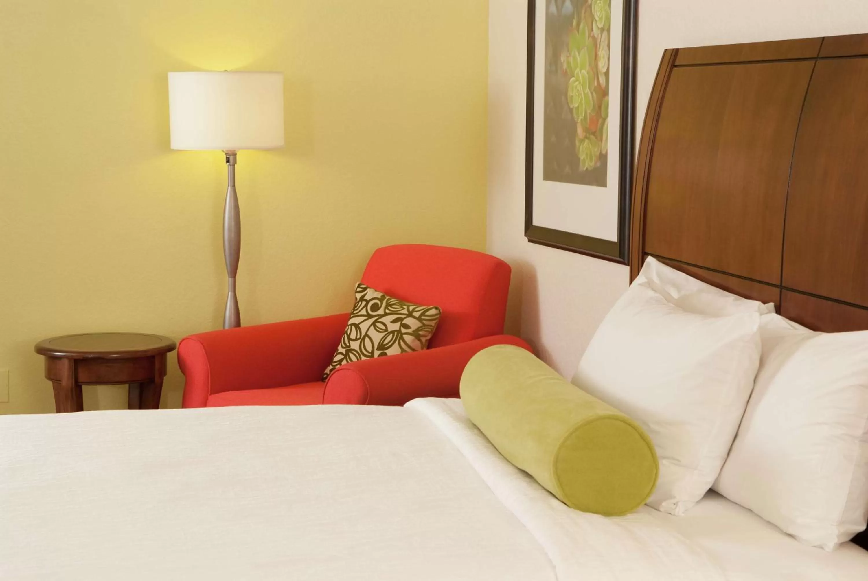 Premium King Room in Hilton Garden Inn Orlando Airport