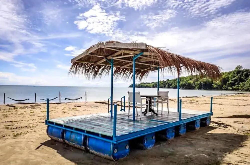 Natural landscape, Beach in Palm Beach Resort & Spa