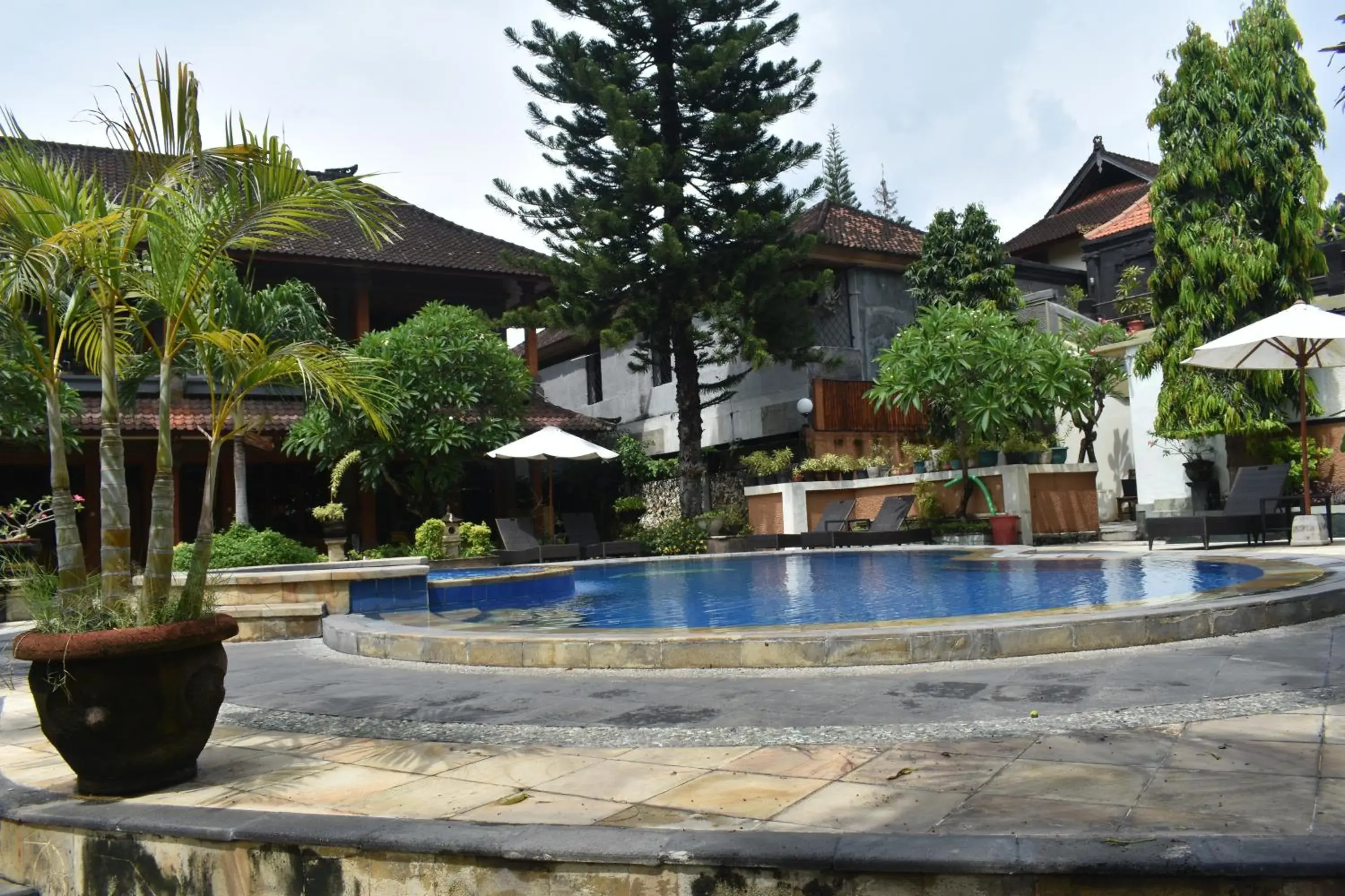 Pool view, Swimming Pool in Bendesa Accommodation