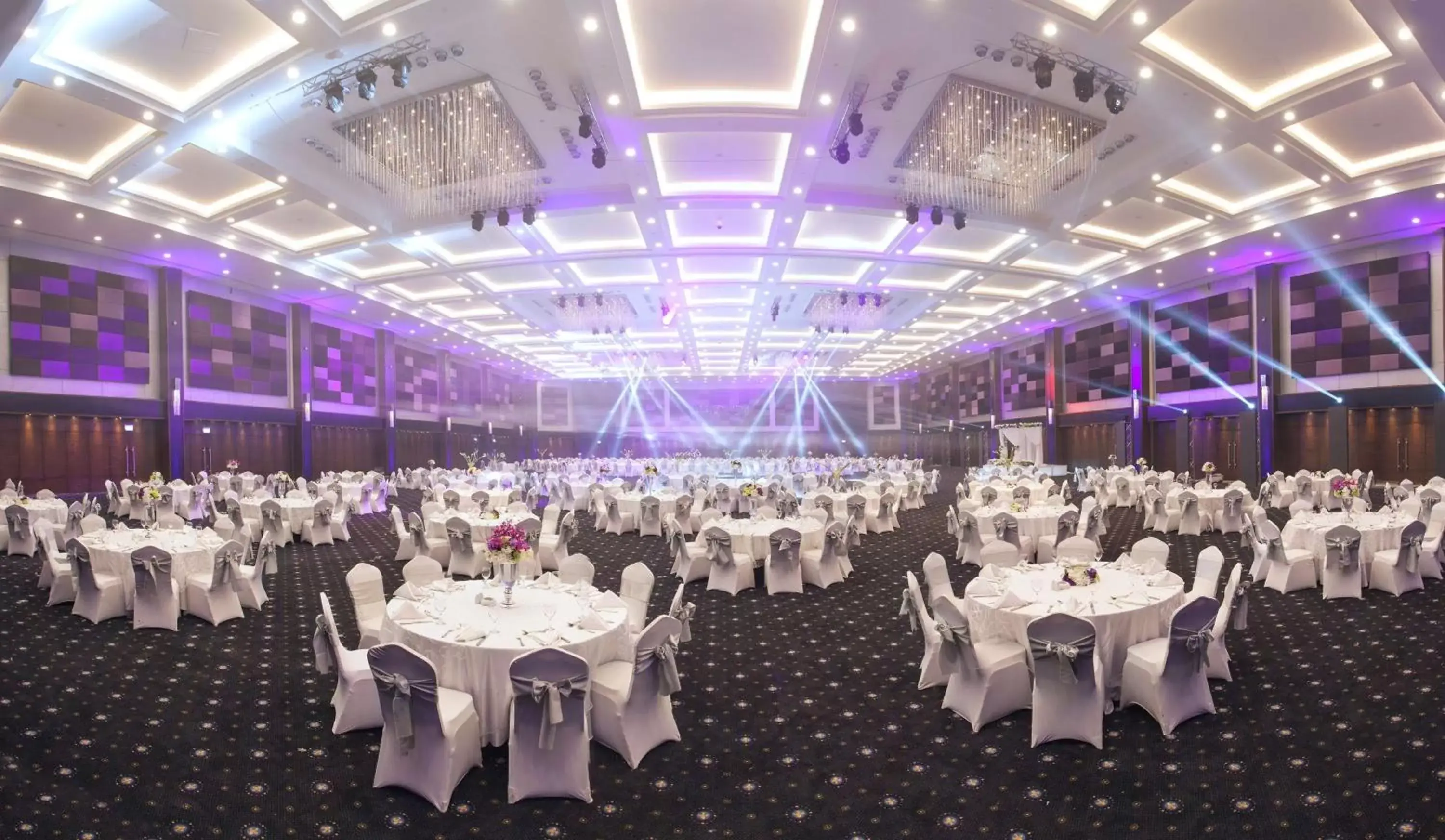 Other, Banquet Facilities in Radisson Blu Hotel Alexandria