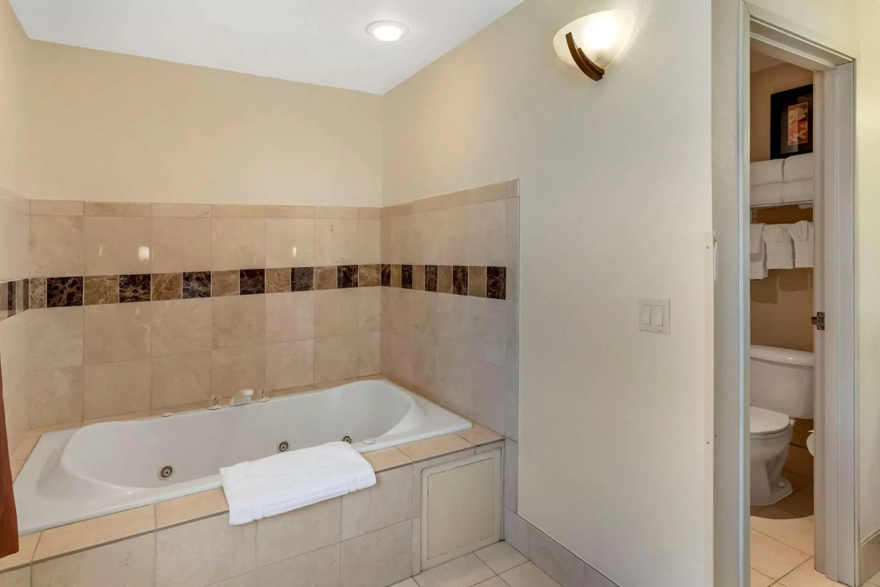 Photo of the whole room, Bathroom in Comfort Suites Denver Tech Center/Englewood