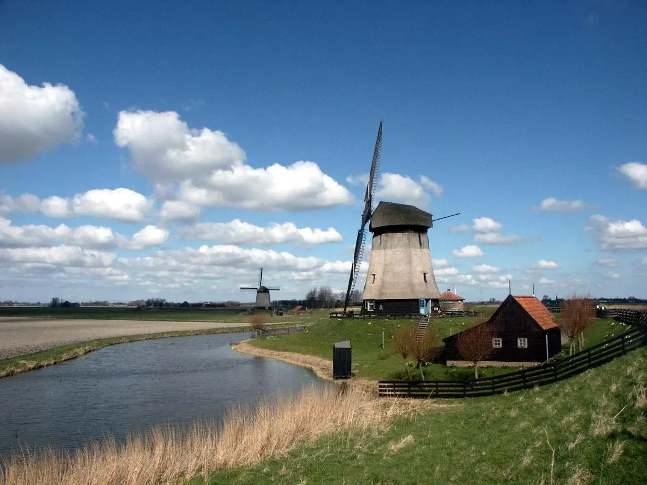 Neighbourhood in Kings Inn City Hotel Alkmaar