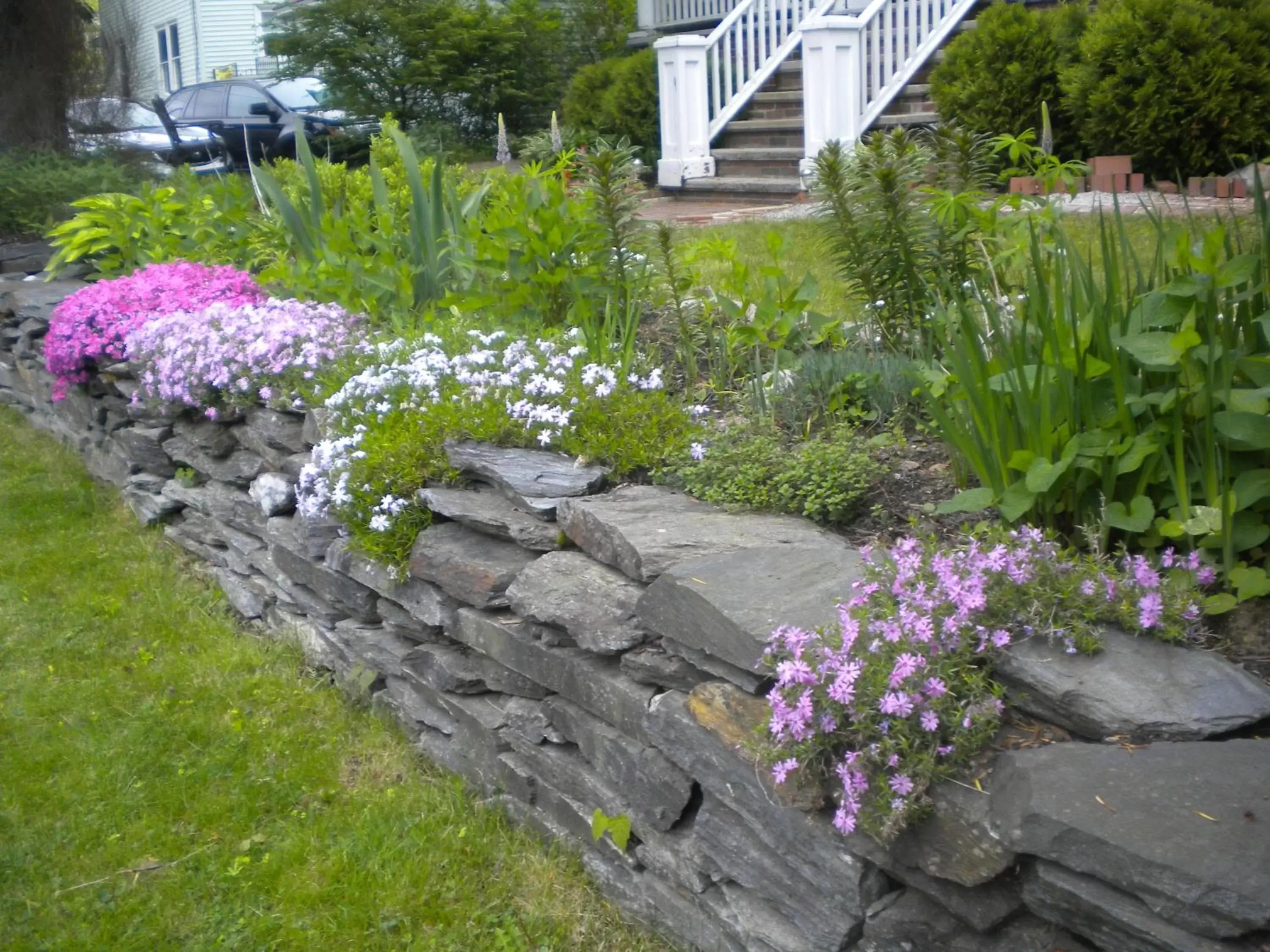 Other, Garden in Fleetwood House Bed and Breakfast