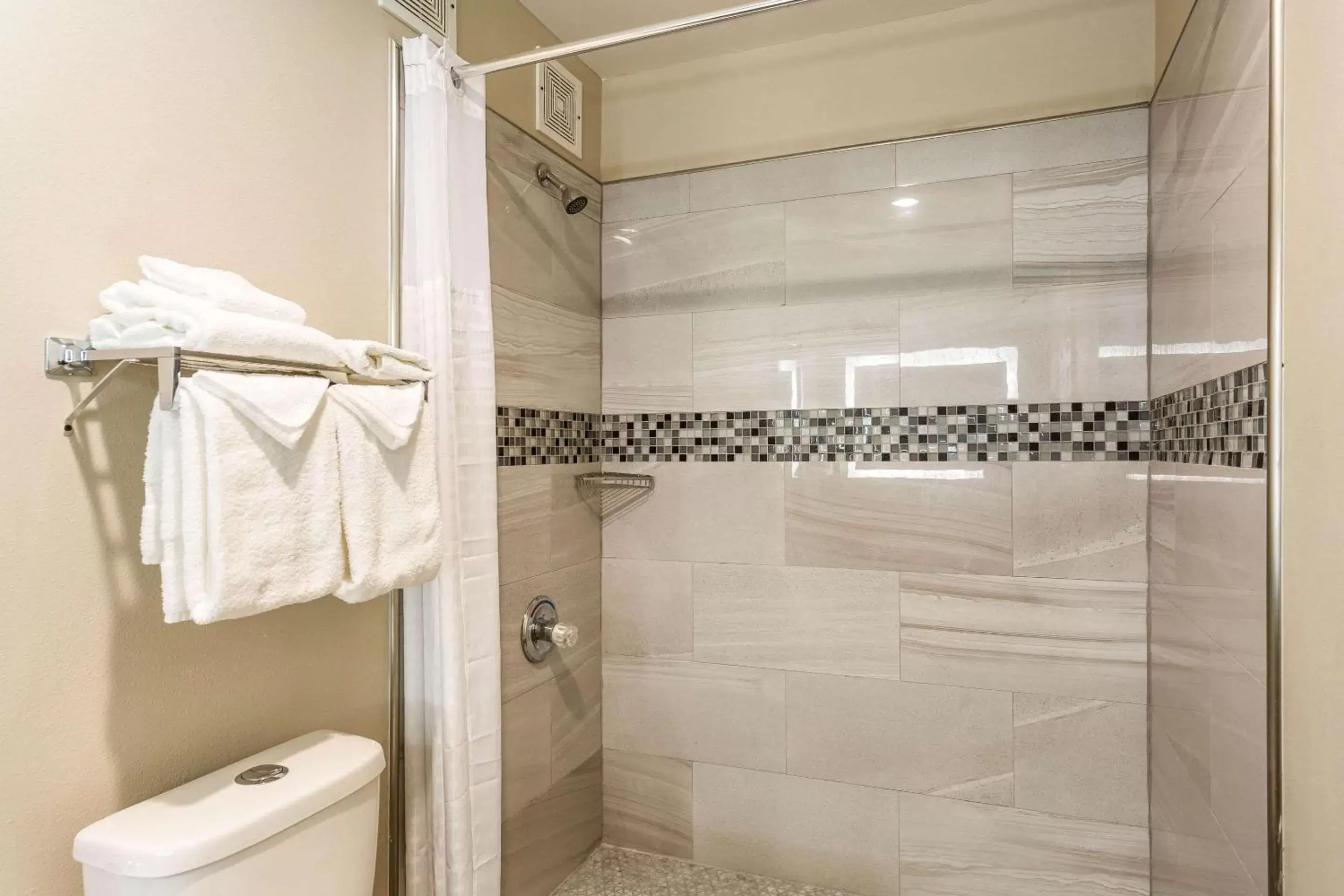 Bathroom in Econo Lodge Inn & Suites Nashville SE Murfreesboro - MTSU