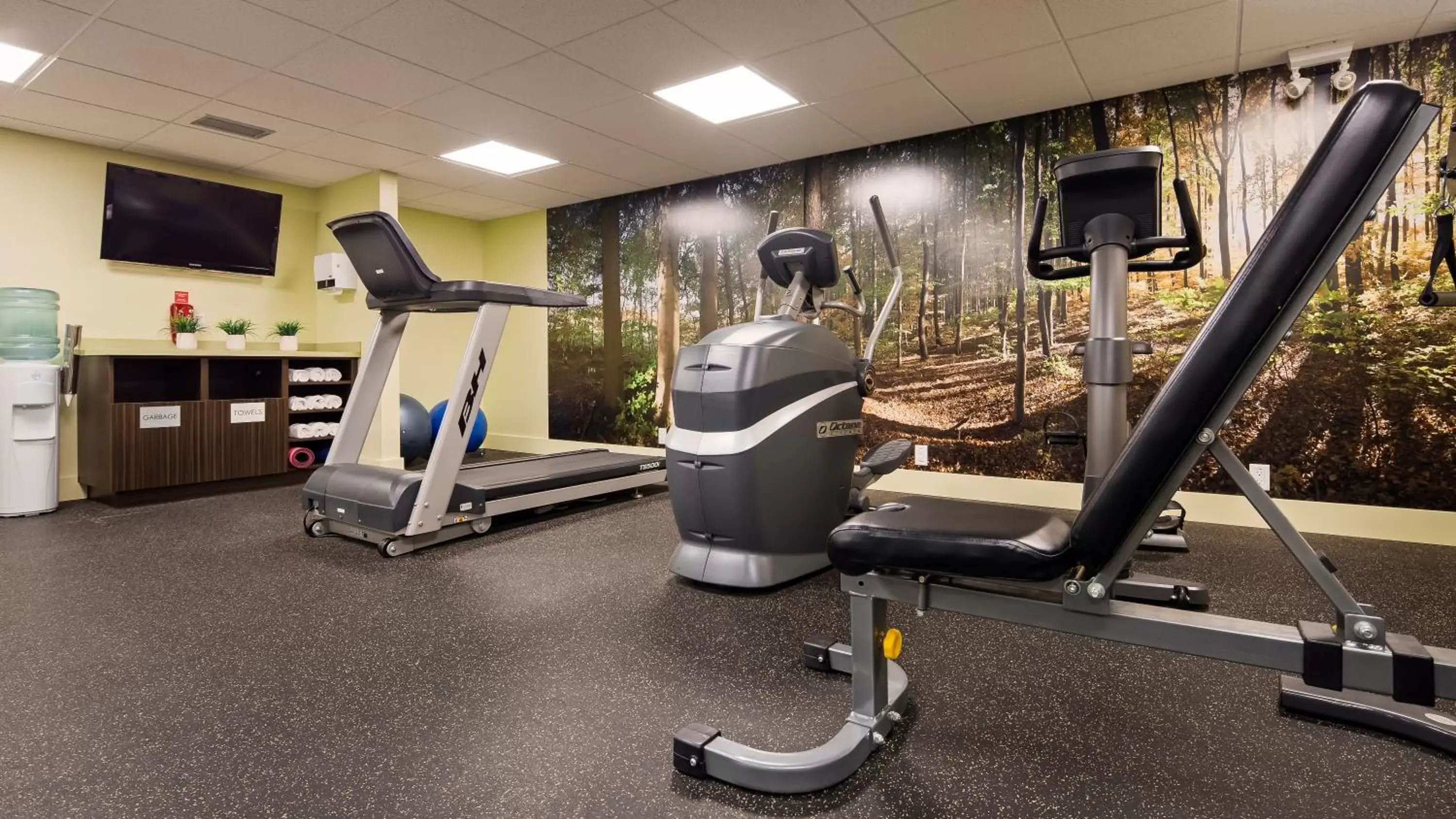 Fitness centre/facilities, Fitness Center/Facilities in Best Western PLUS Inner Harbour Hotel