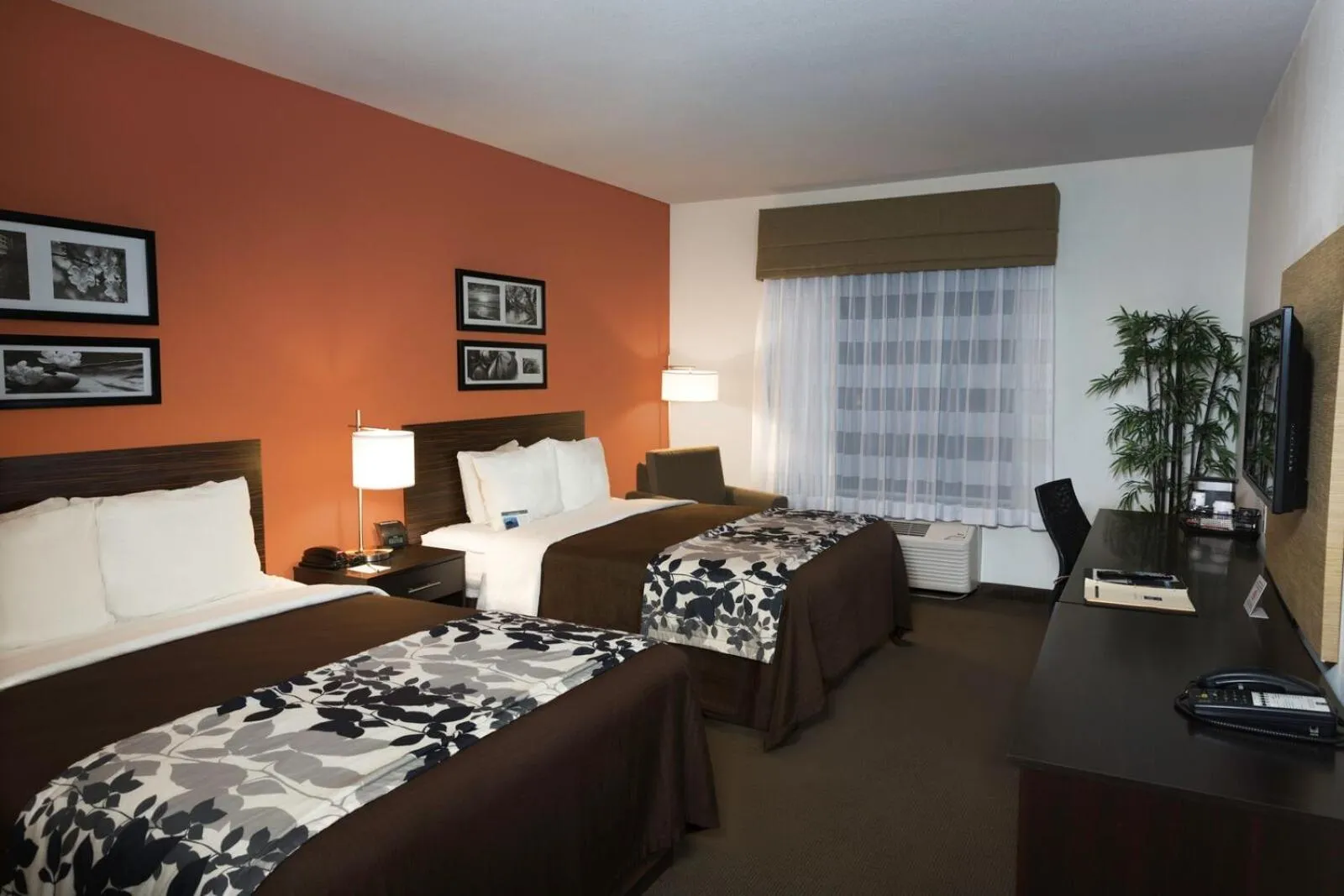Photo of the whole room, Bed in Sleep Inn & Suites Austin – Tech Center