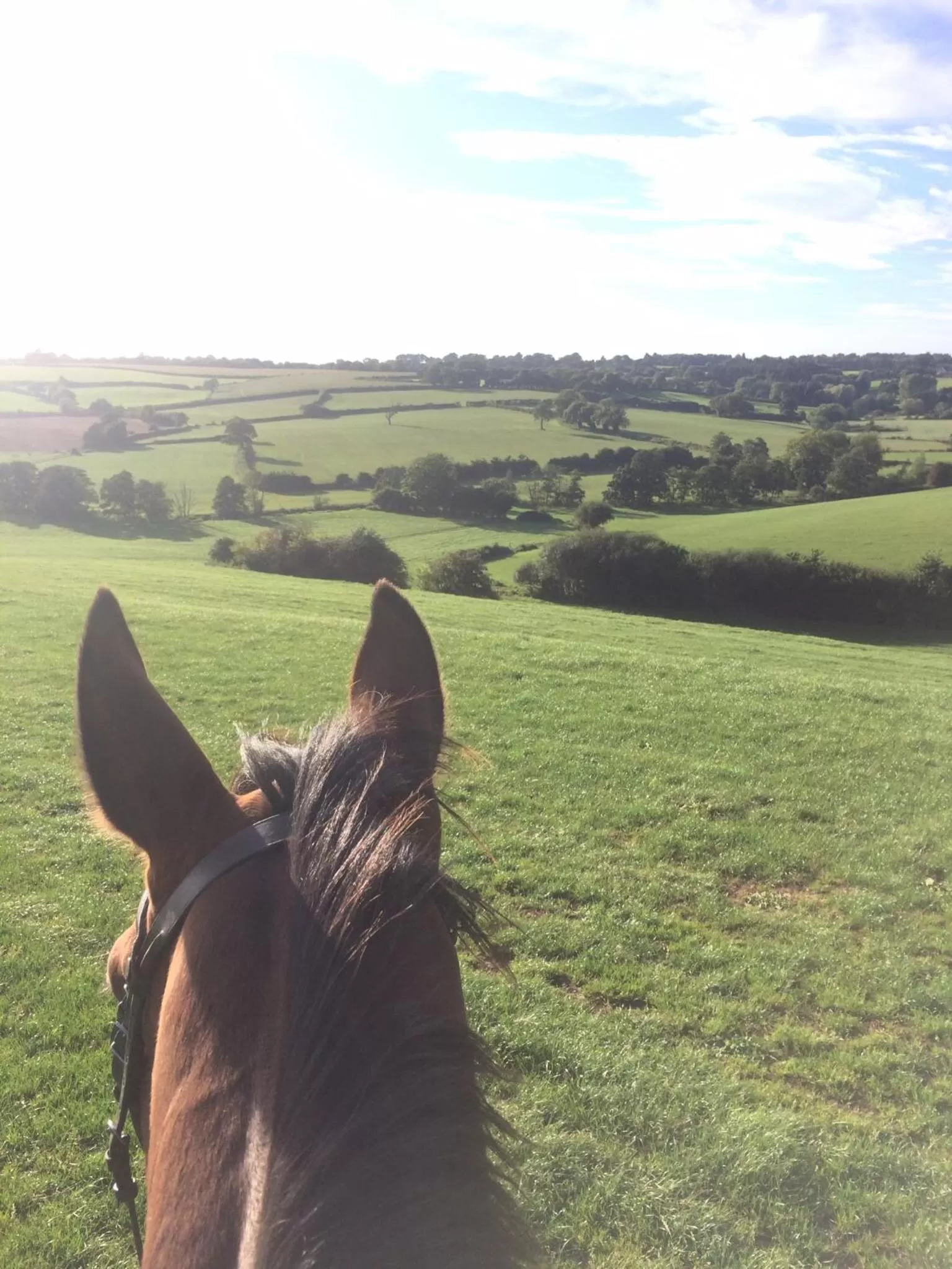 Natural landscape in Church Farm