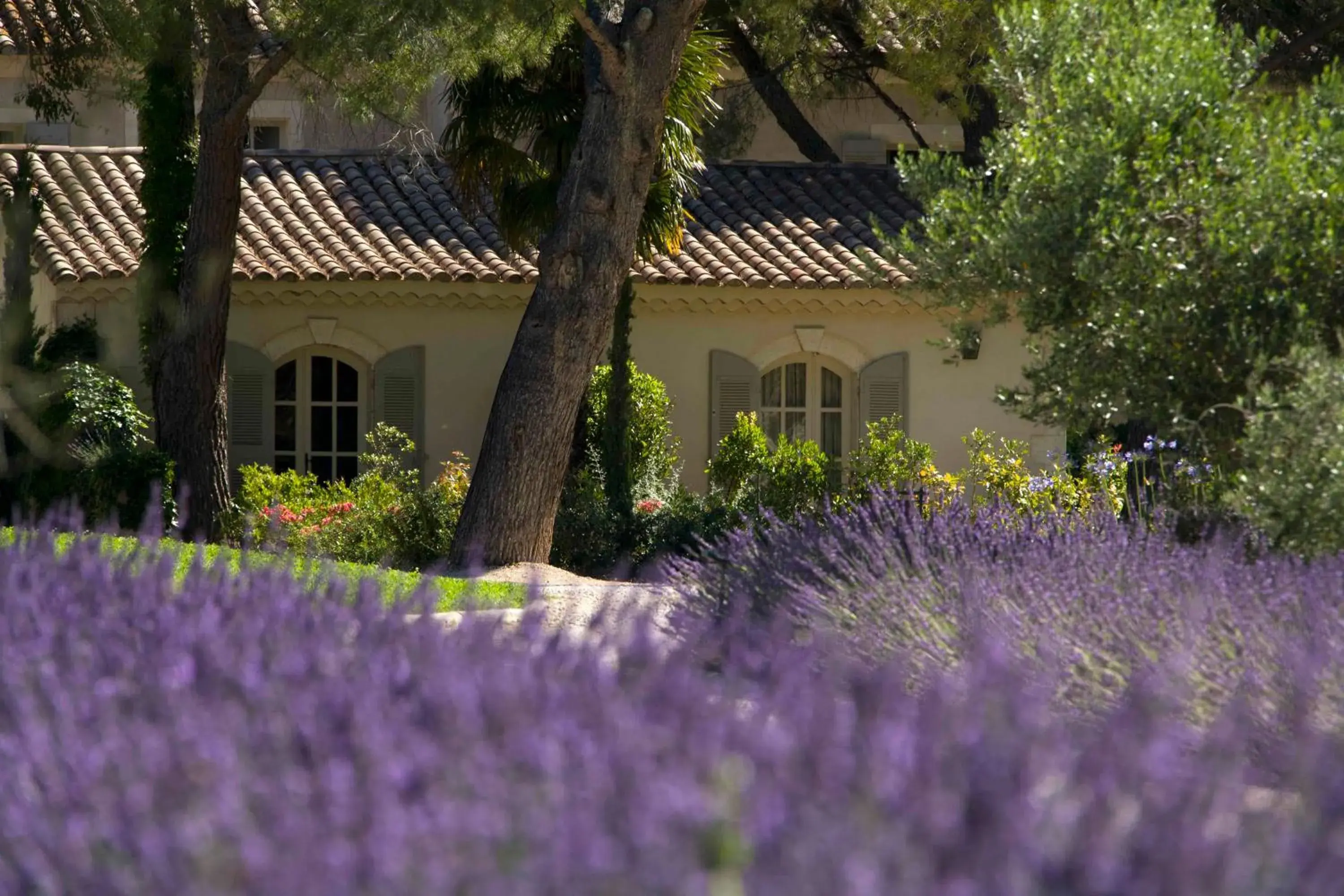 Garden, Property Building in Benvengudo