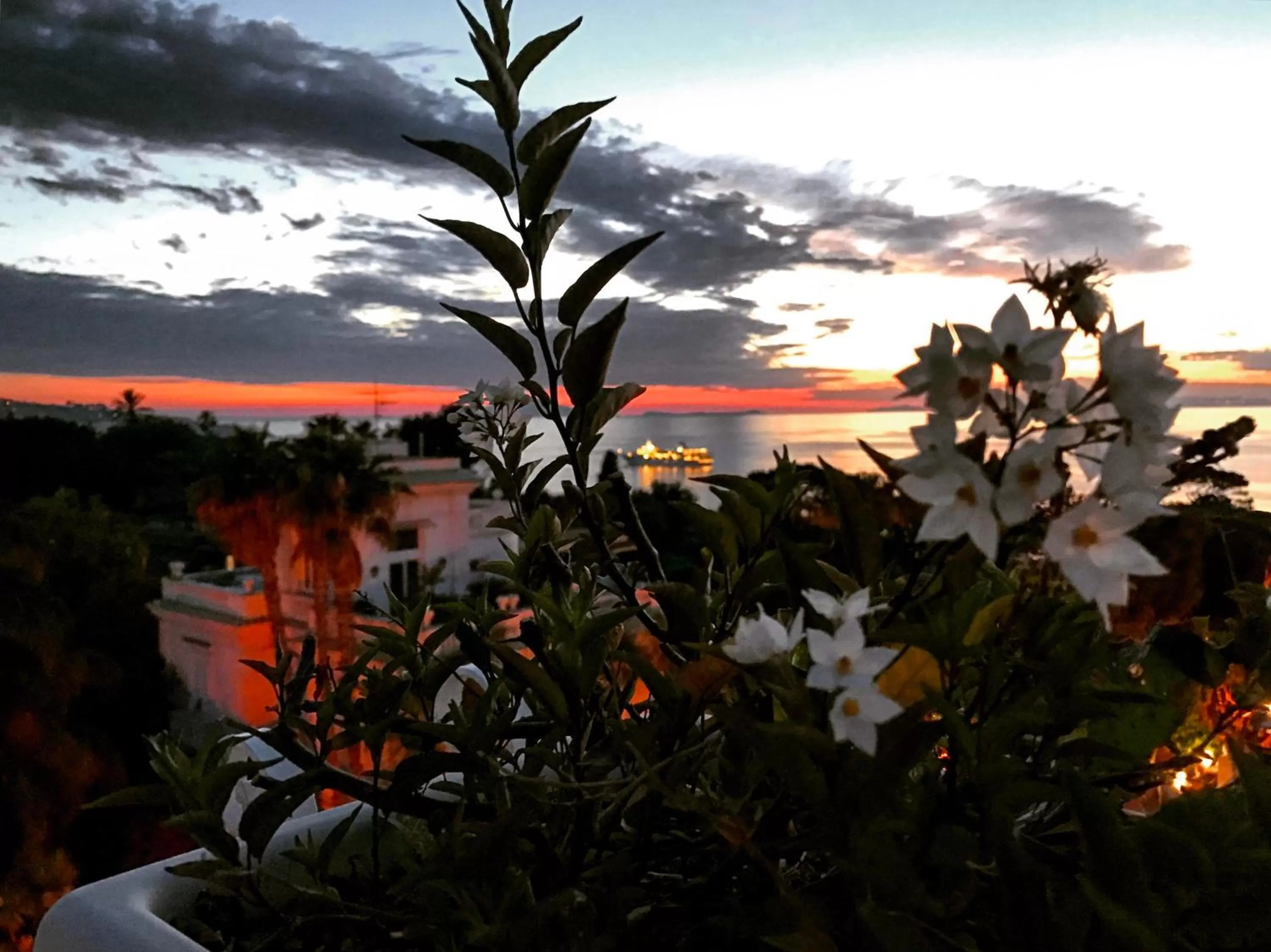 Sea view in Hotel Crawford