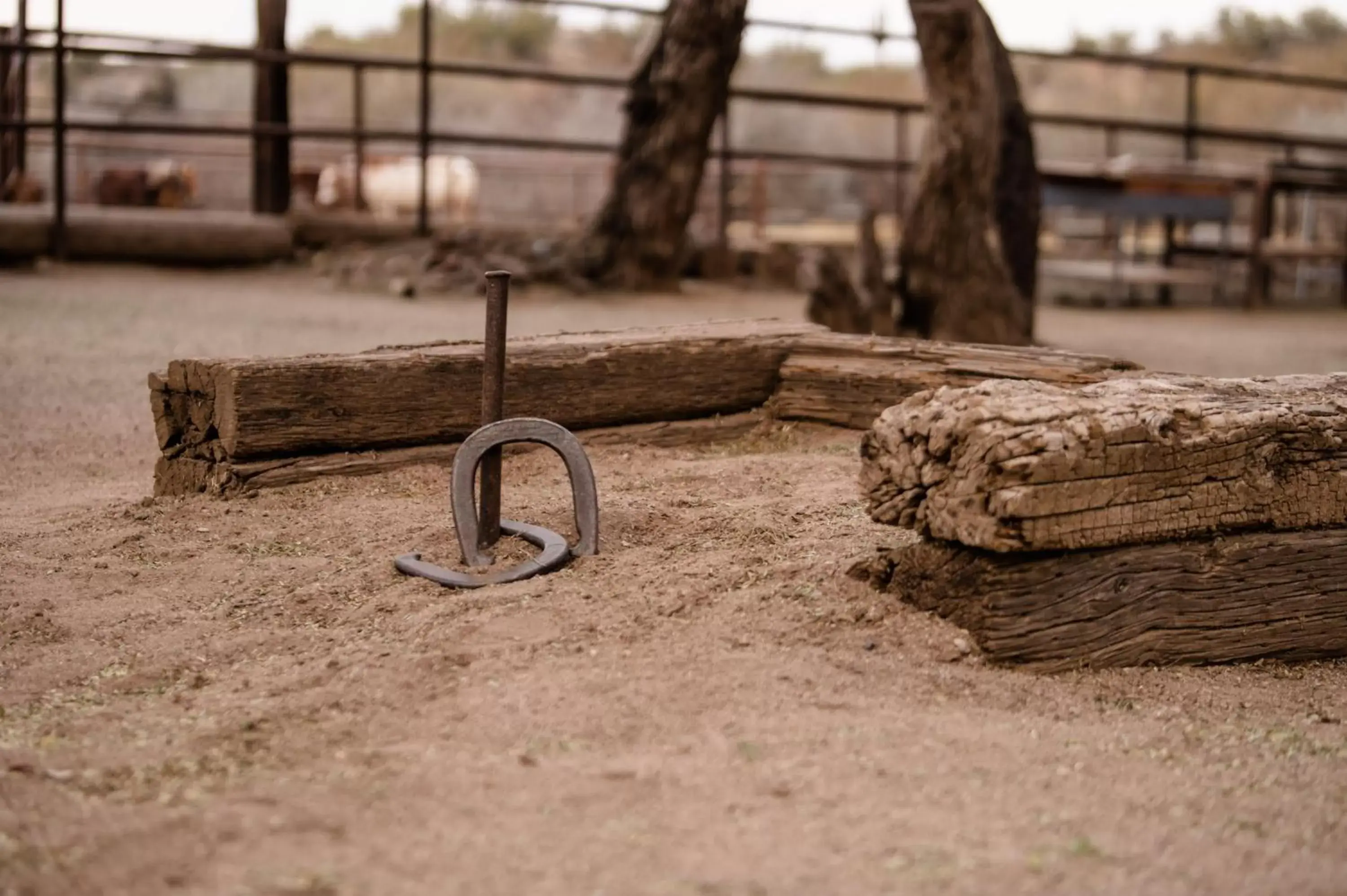 Activities in Kay El Bar Guest Ranch