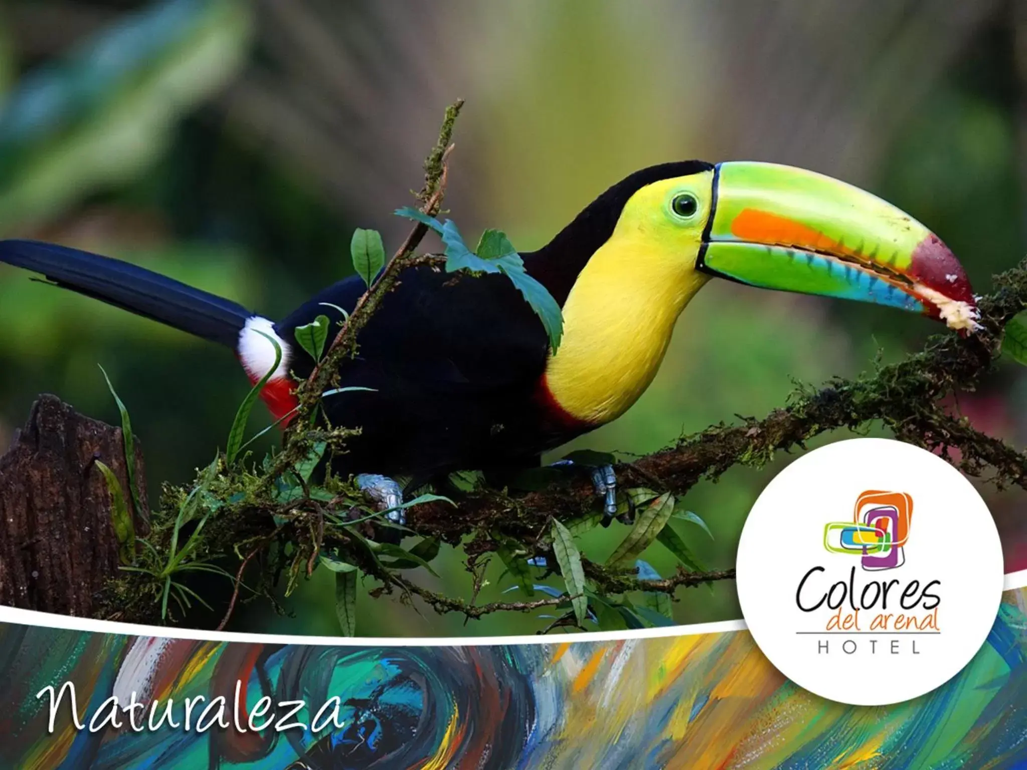 Animals, Other Animals in Hotel Colores del Arenal