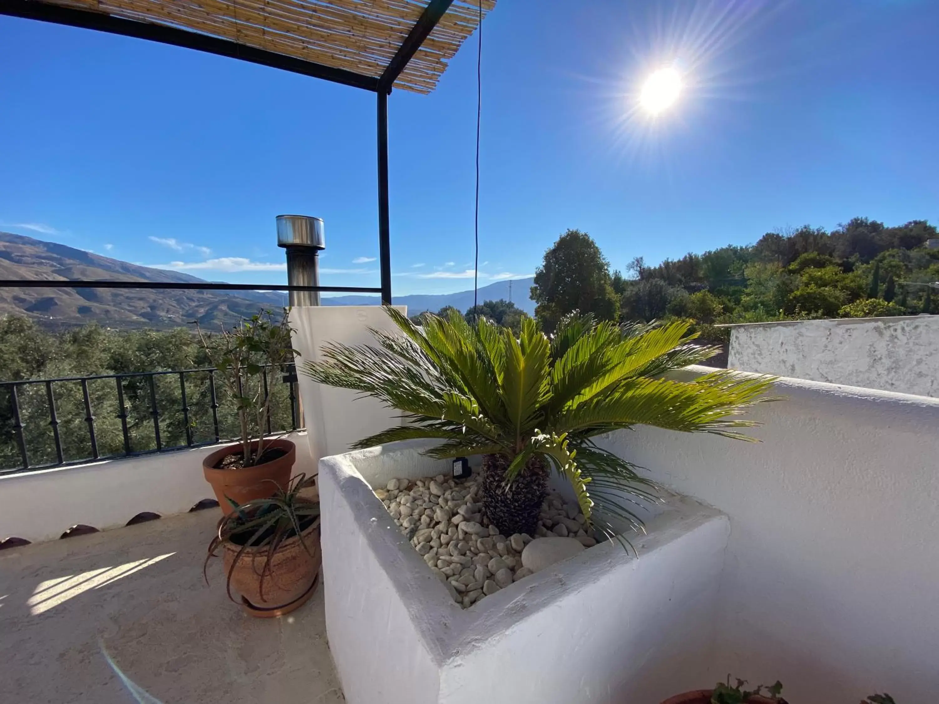 Balcony/Terrace in Casa Limon