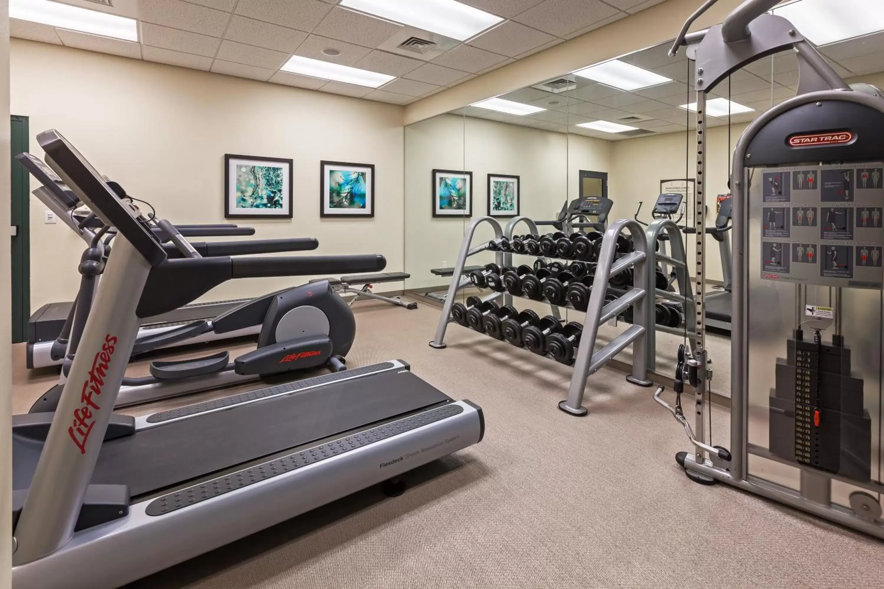 Fitness centre/facilities, Fitness Center/Facilities in Staybridge Suites San Antonio Downtown Convention Center, an IHG Hotel