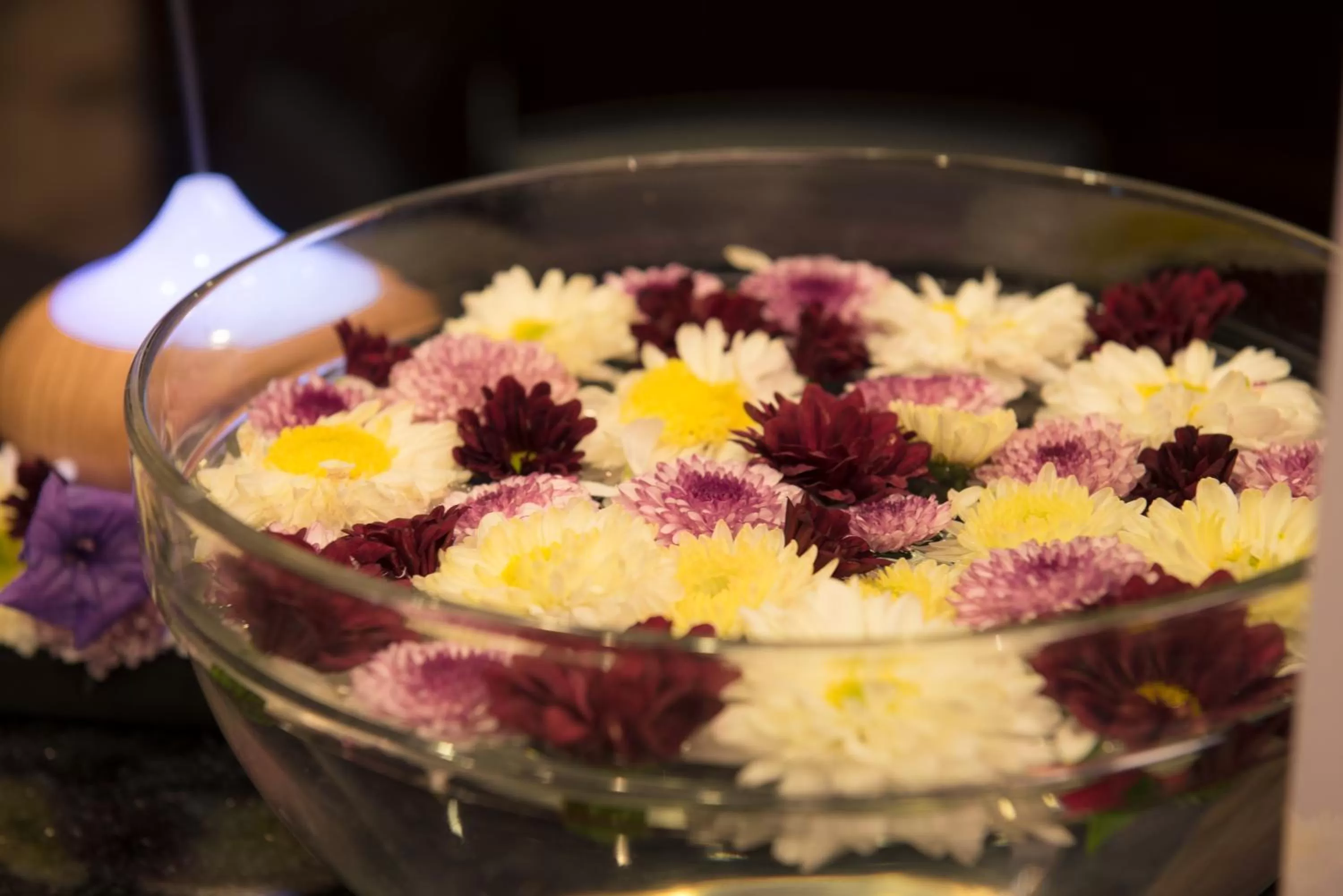 Spa and wellness centre/facilities in North Hill City Resort