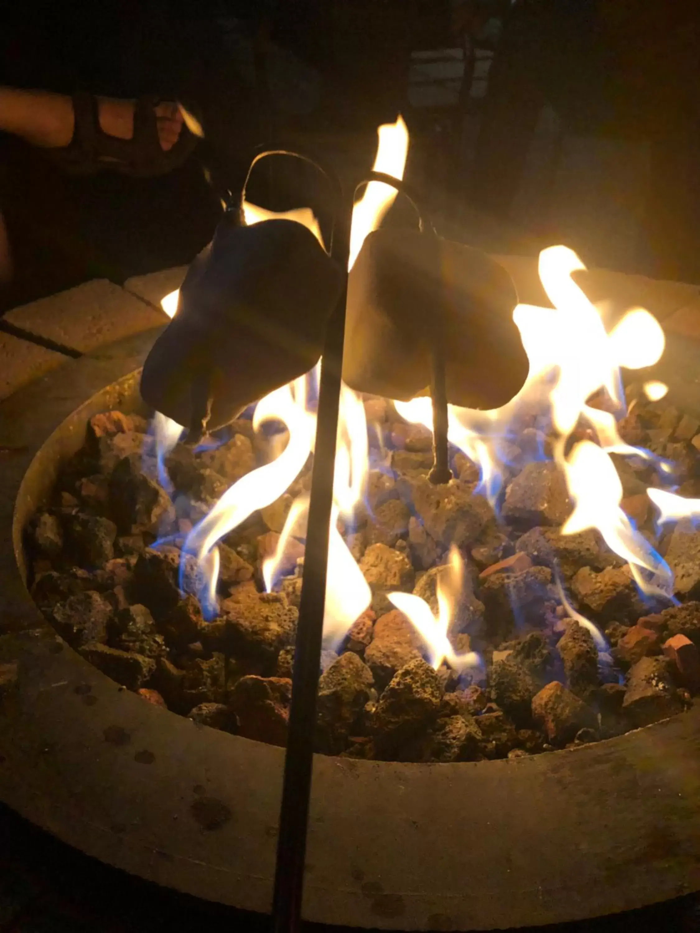 Property building, BBQ Facilities in Timber Ridge Lodge Ouray