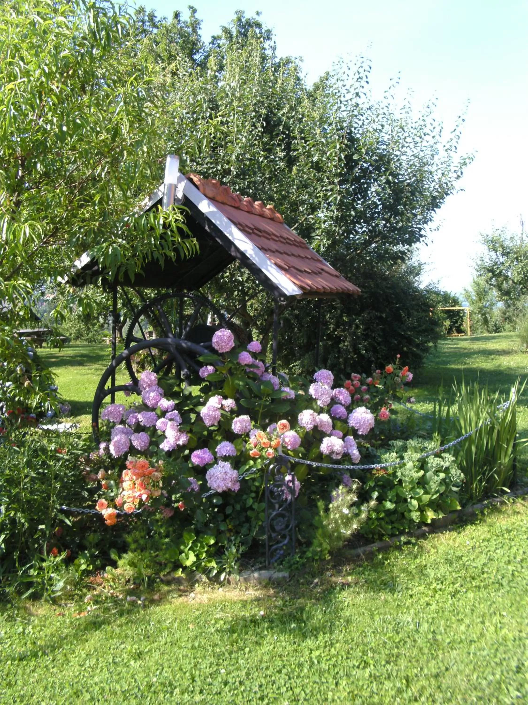 Other in Panorama B&B