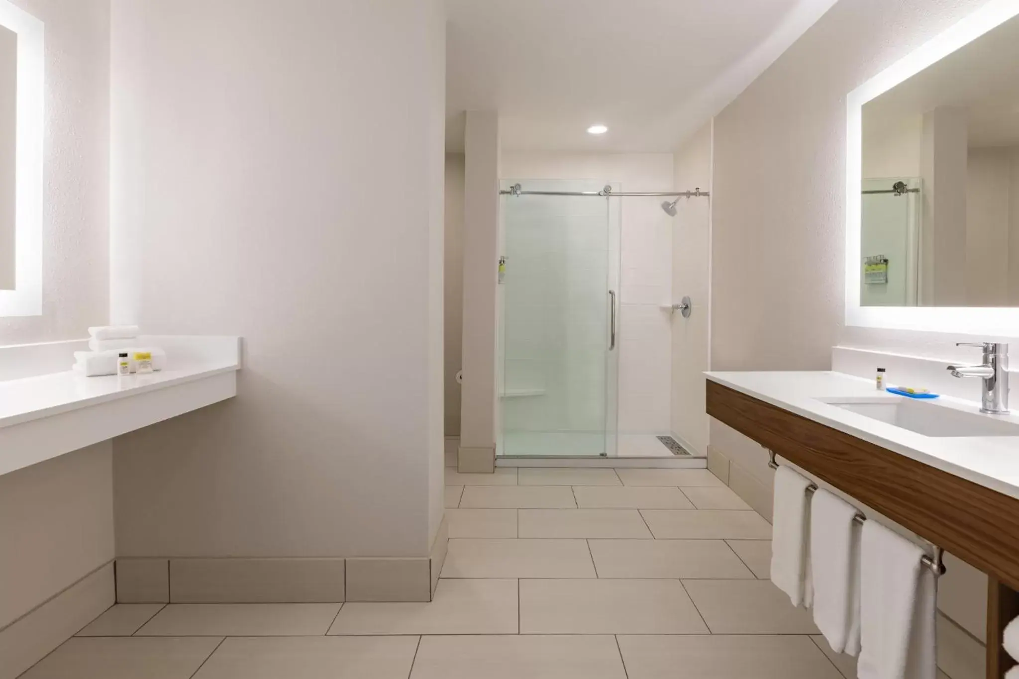 Bathroom in Holiday Inn Express Hotel & Suites Opelika Auburn, an IHG Hotel