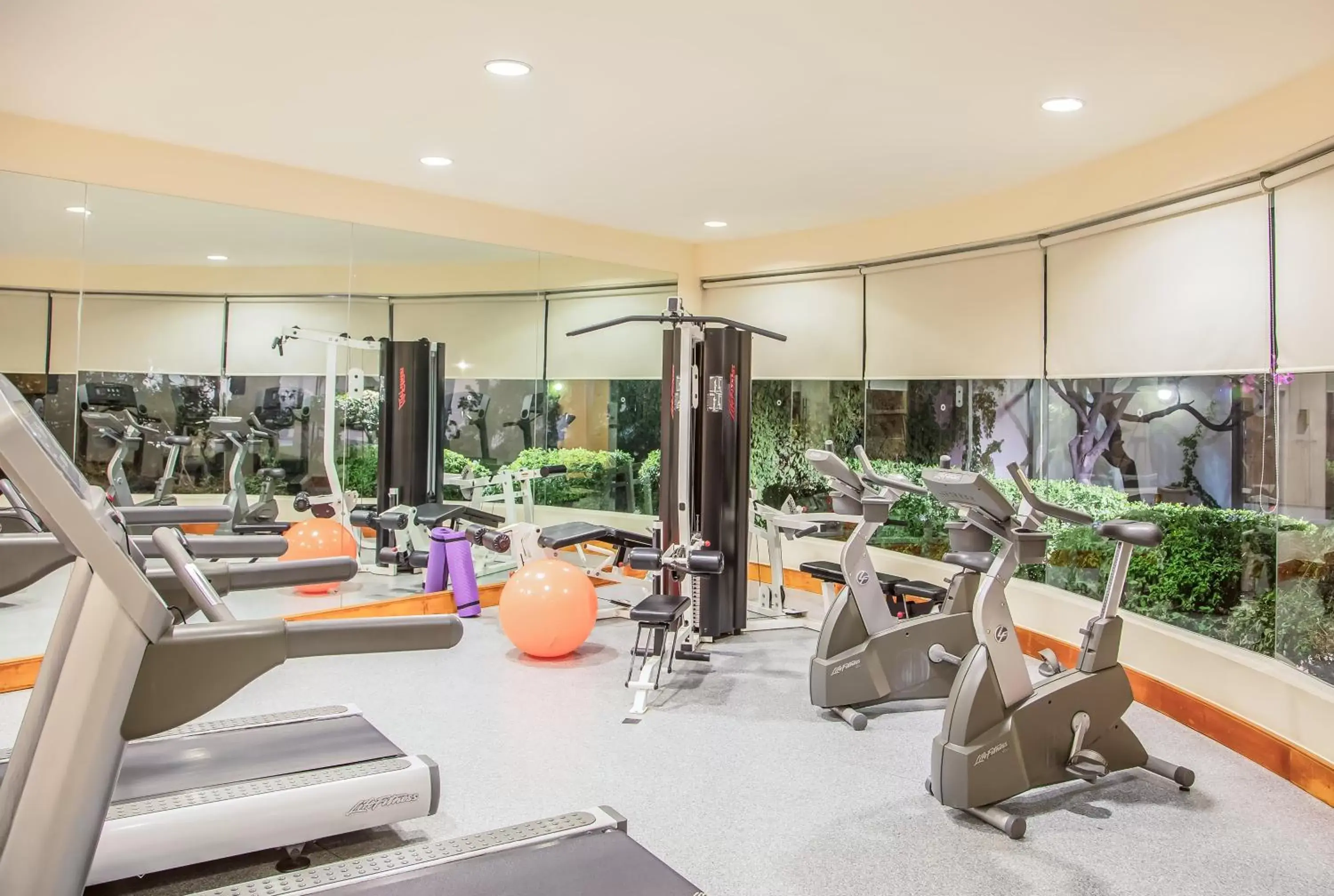 Fitness centre/facilities, Fitness Center/Facilities in Fiesta Inn Tijuana Otay Aeropuerto