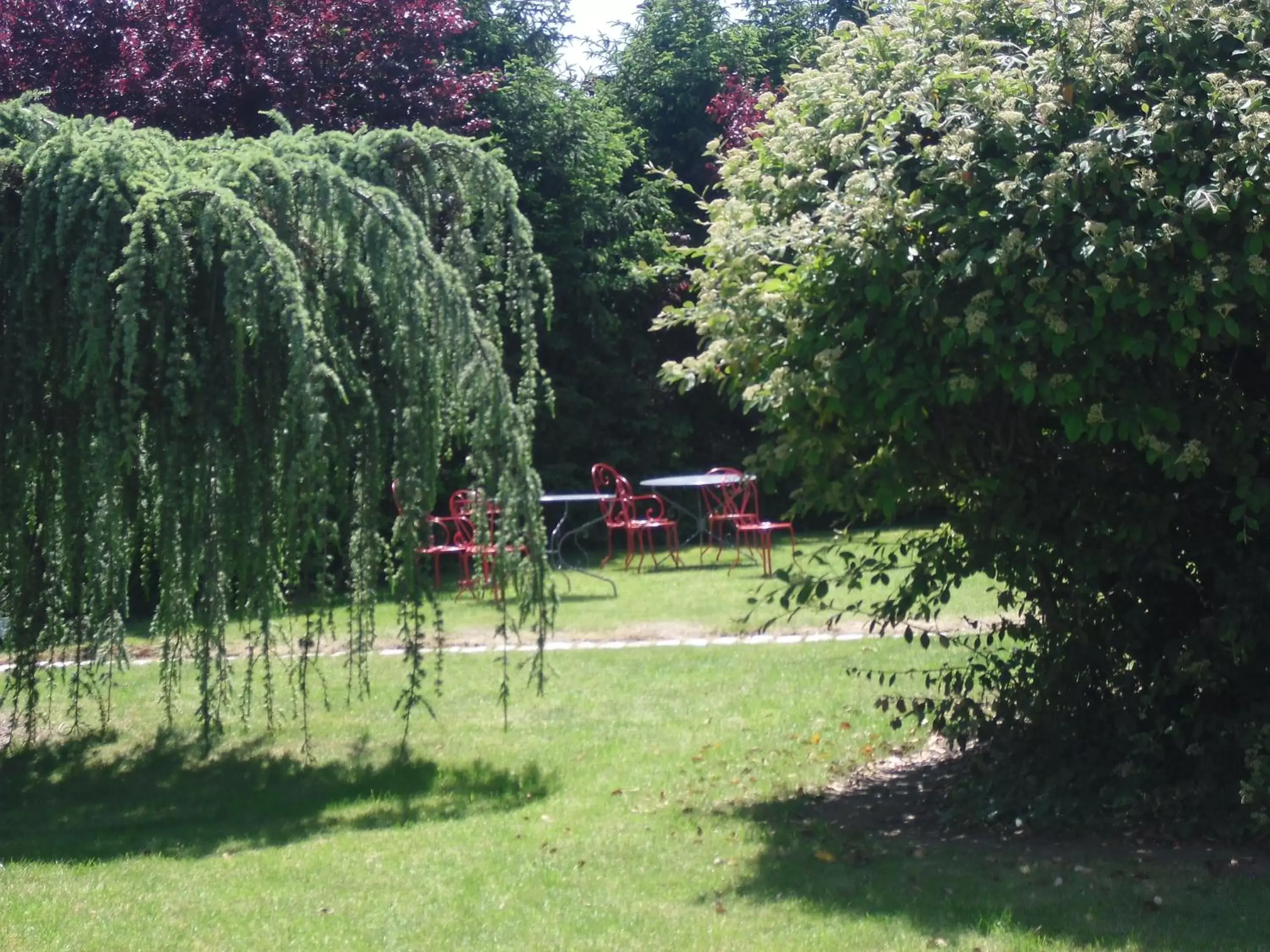 Garden in Brit Hotel Dak Hotel