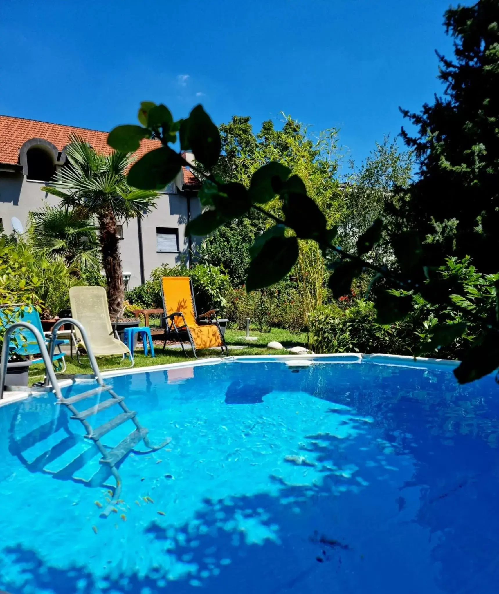 Swimming Pool in Victoria Royal Garden