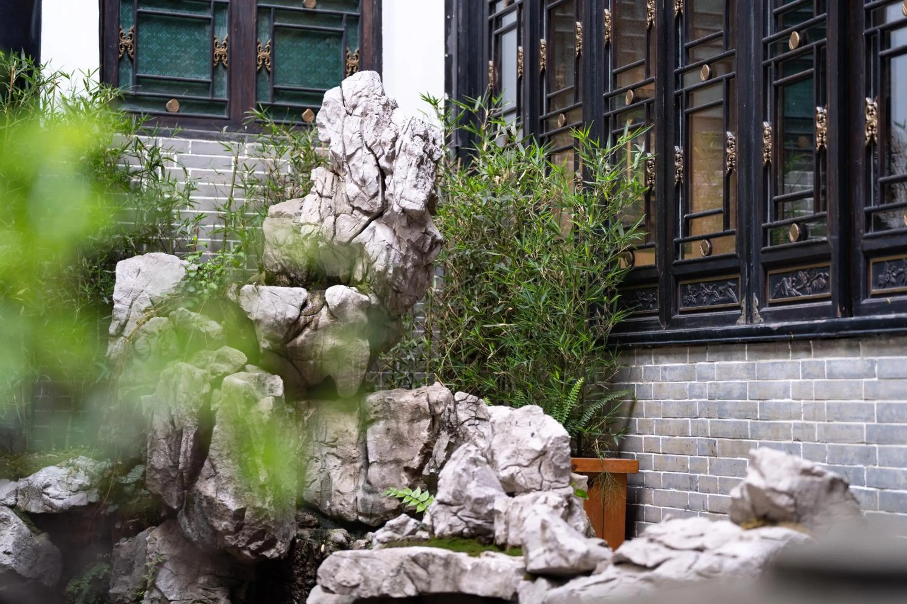 Garden in Buddha Zen Hotel