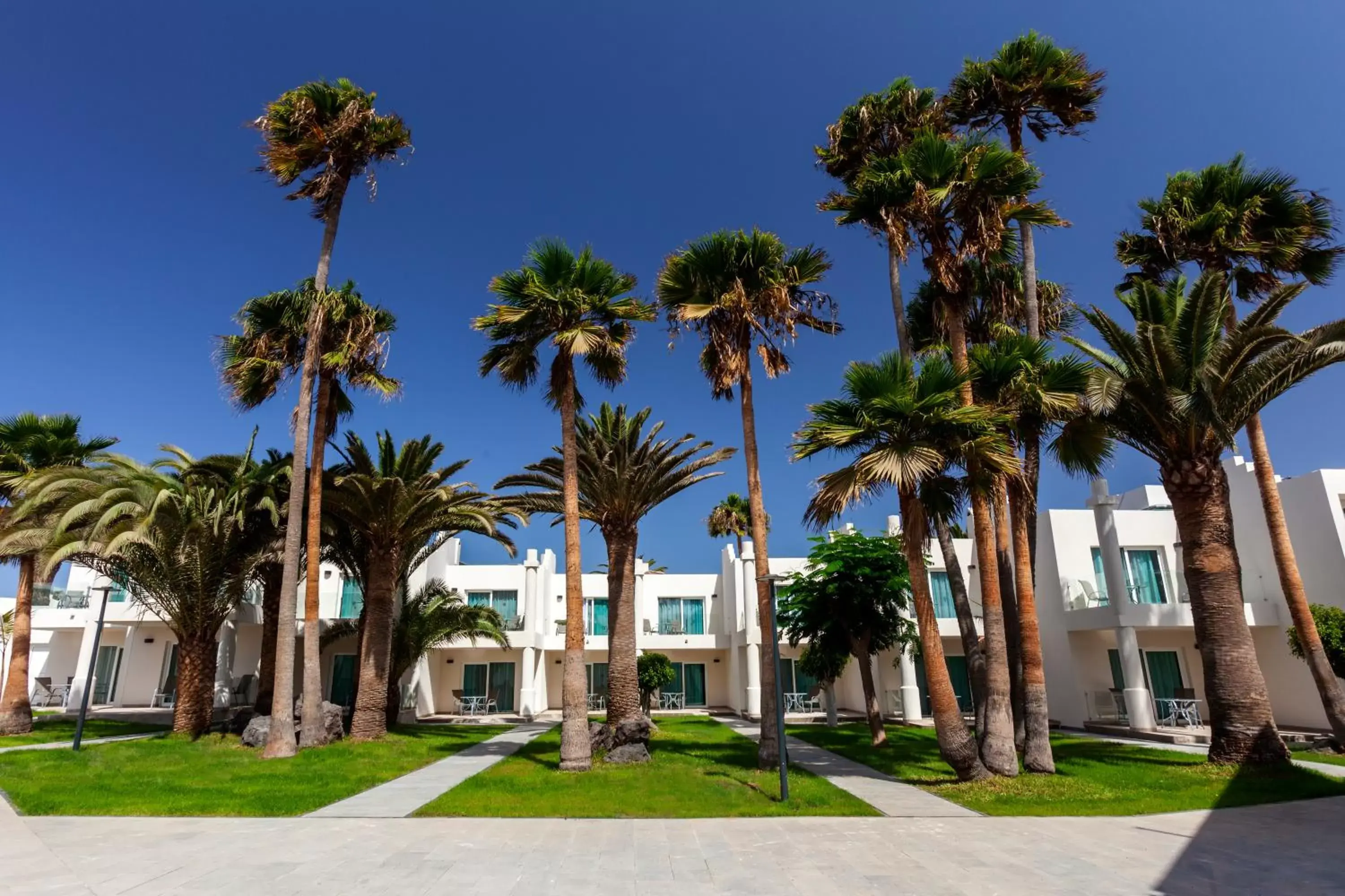 Other, Property Building in Barceló Corralejo Sands