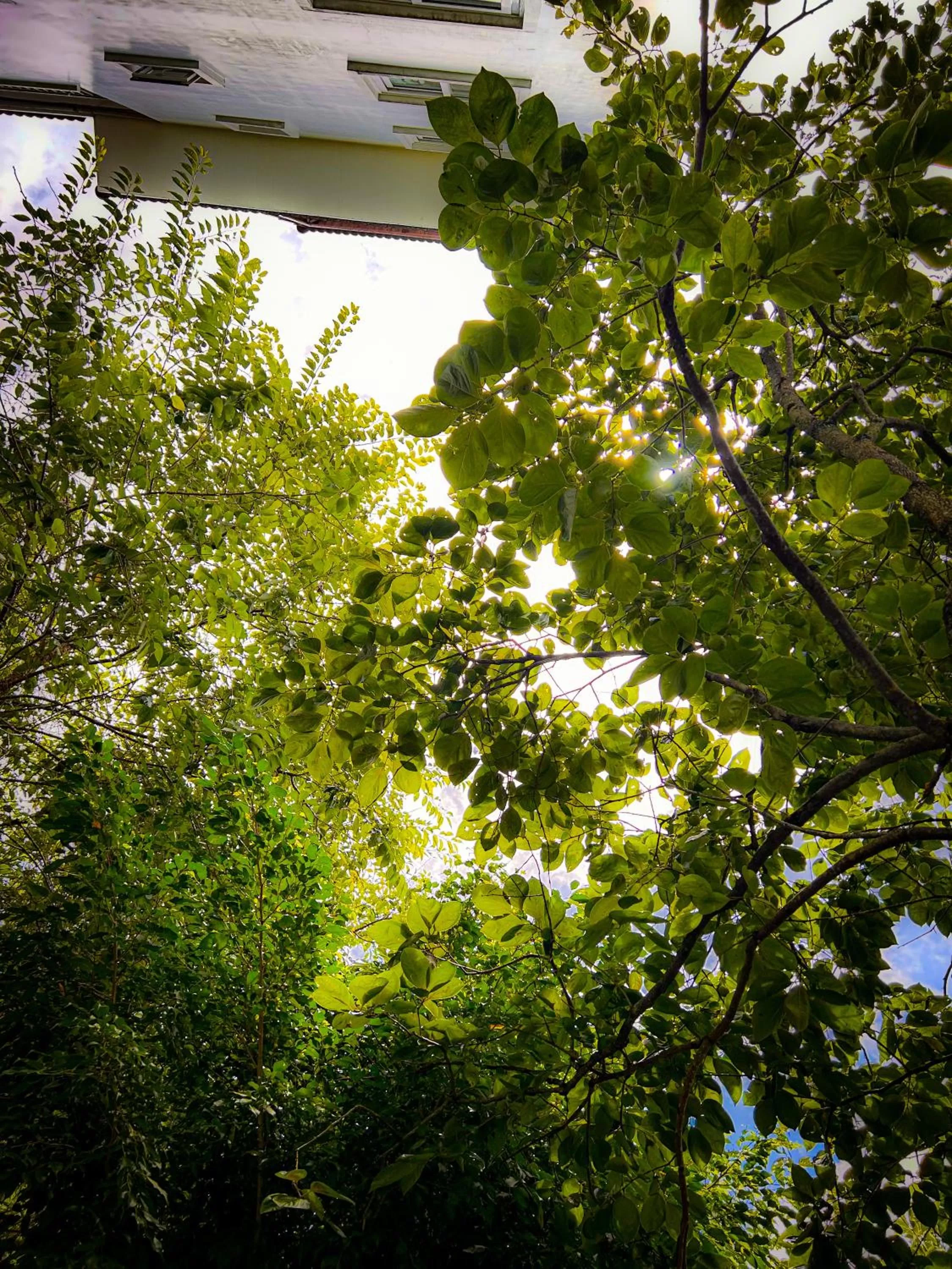 Property building in Hong Mon Villa