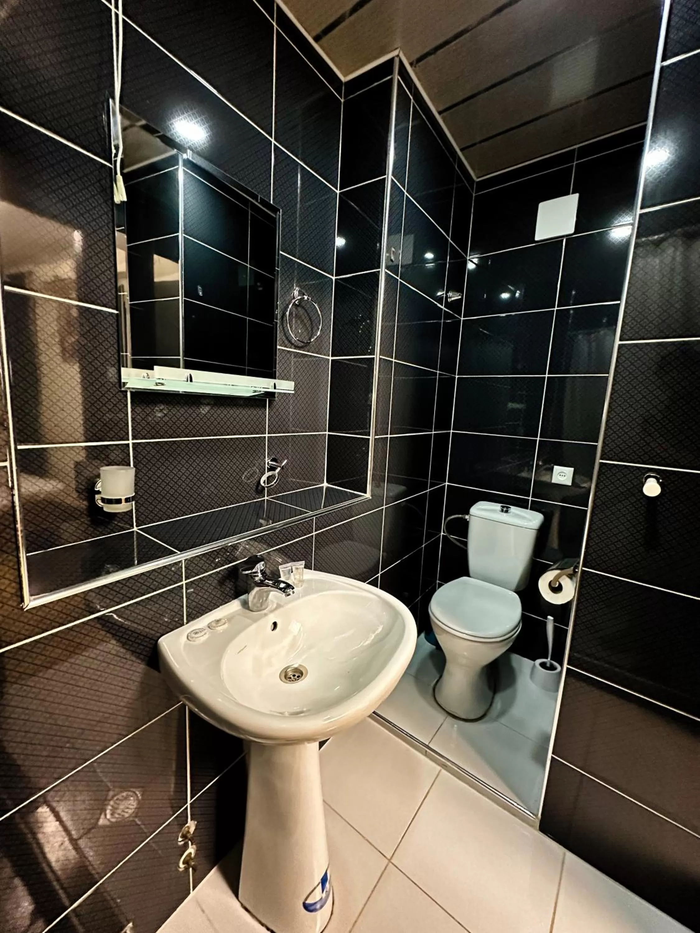 Toilet, Bathroom in Metekhi View Hotel