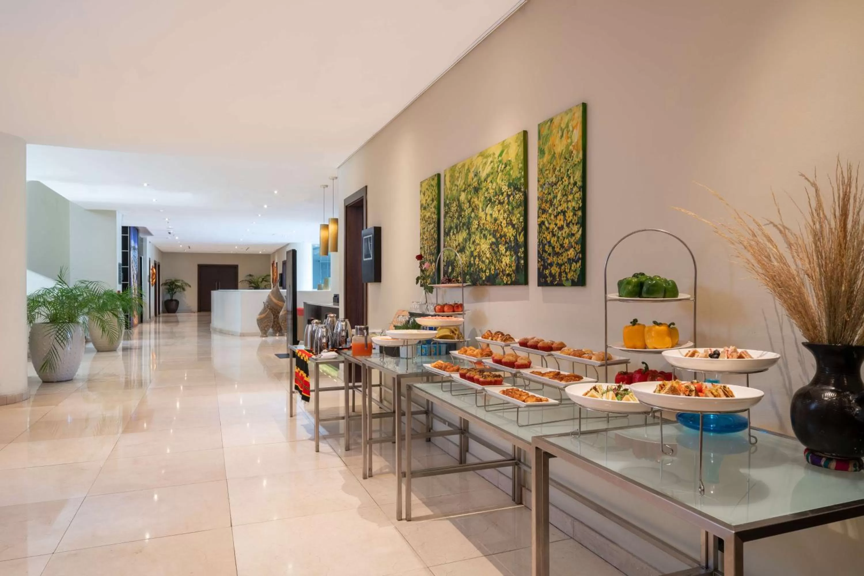 On site in Radisson Blu Hotel, Addis Ababa