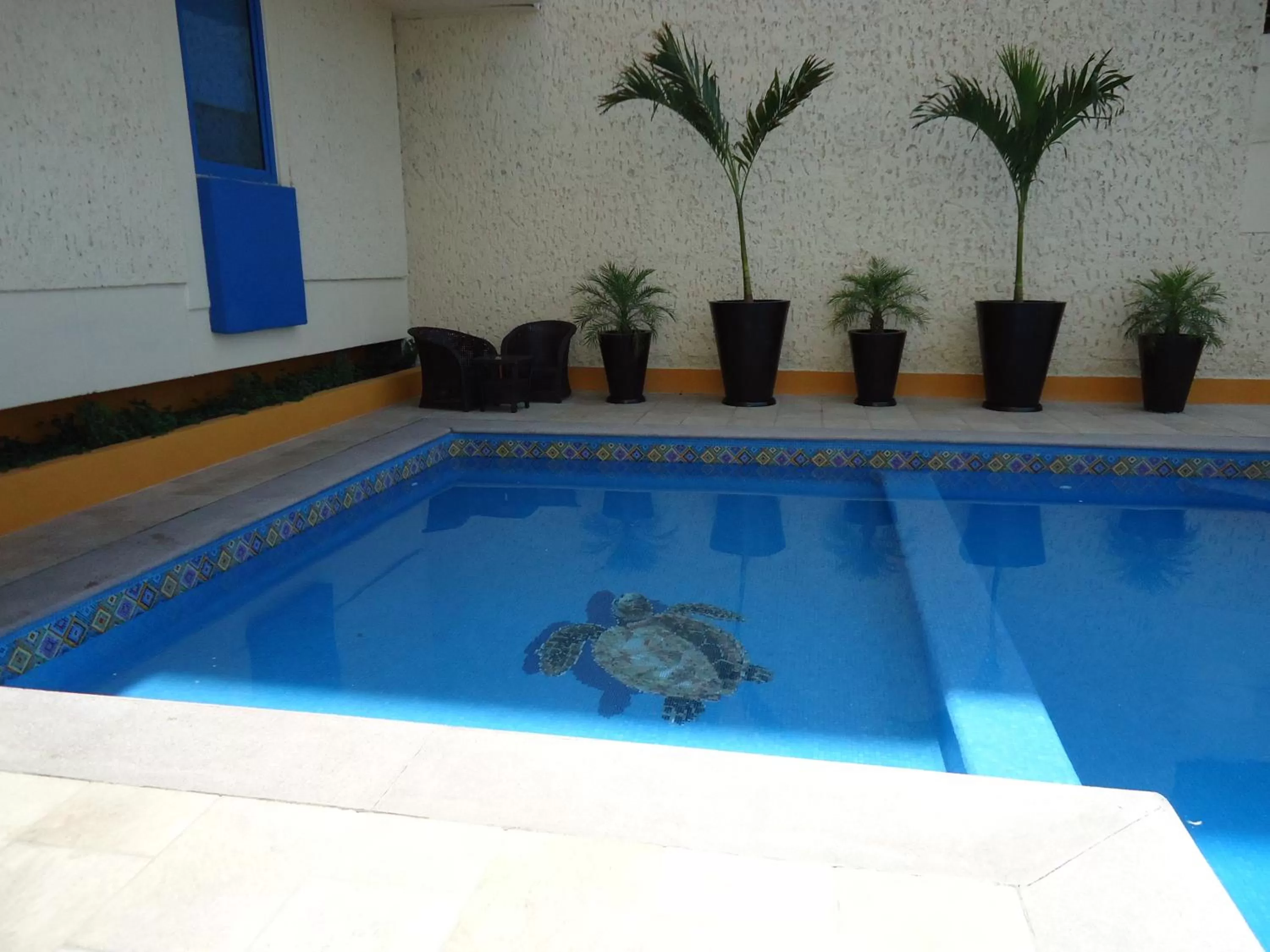 Swimming pool in Aranzazu Centro Historico