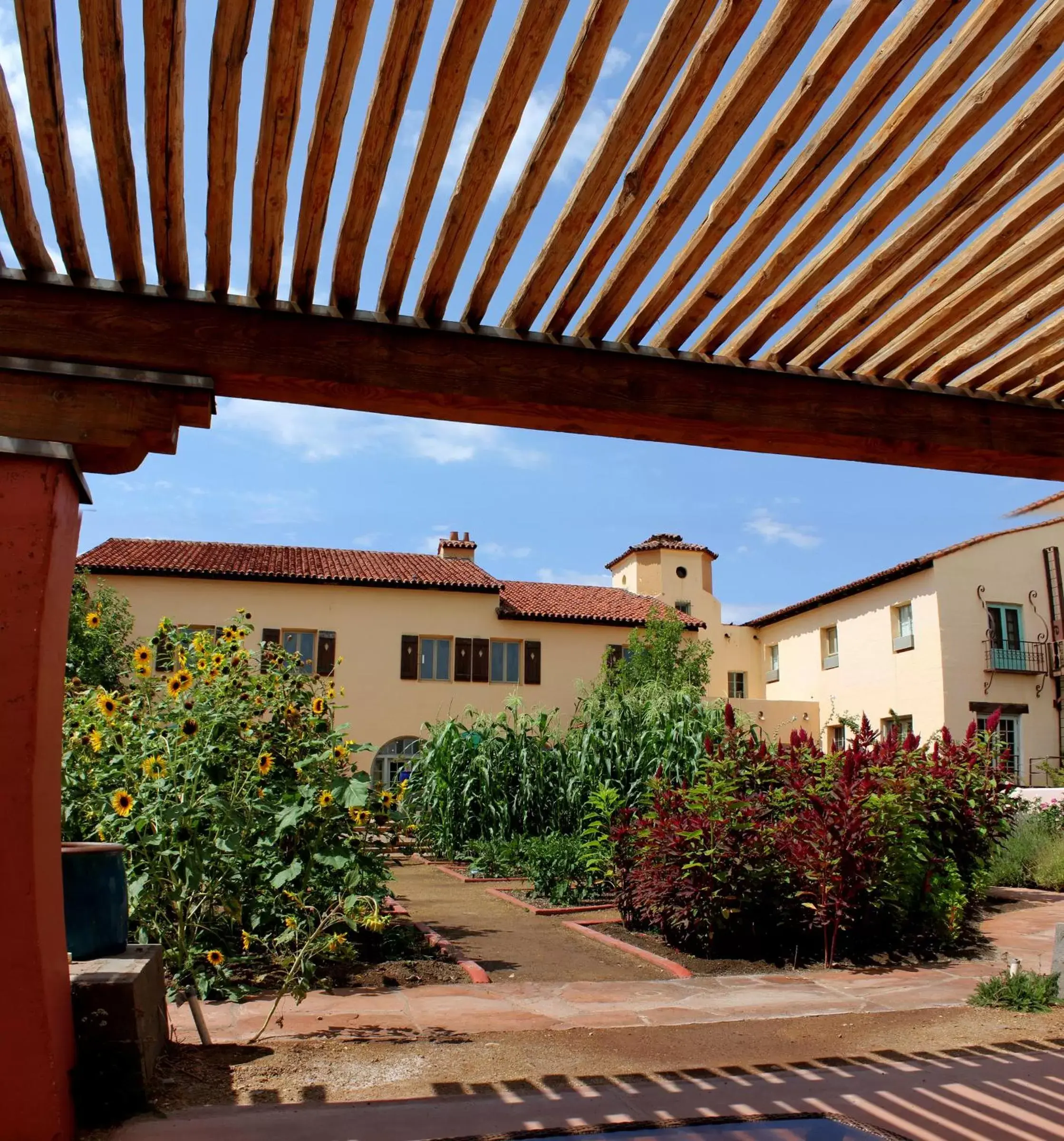 Patio, Property Building in La Posada Hotel and Gardens