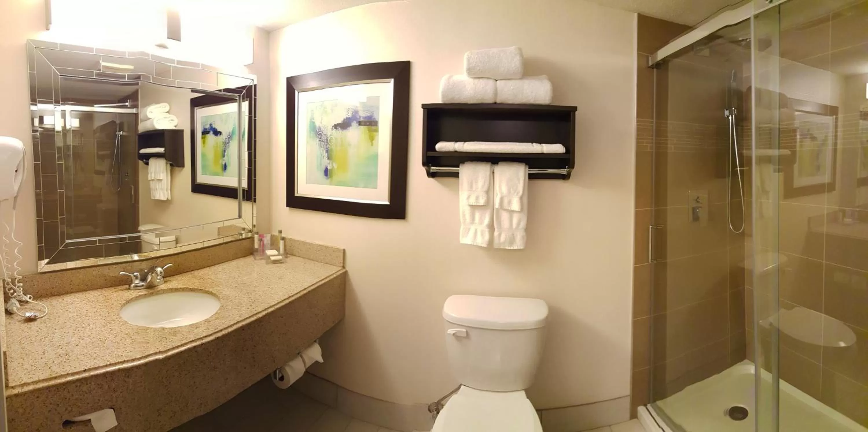 Bathroom in Holiday Inn & Suites Syracuse Airport - Liverpool by IHG