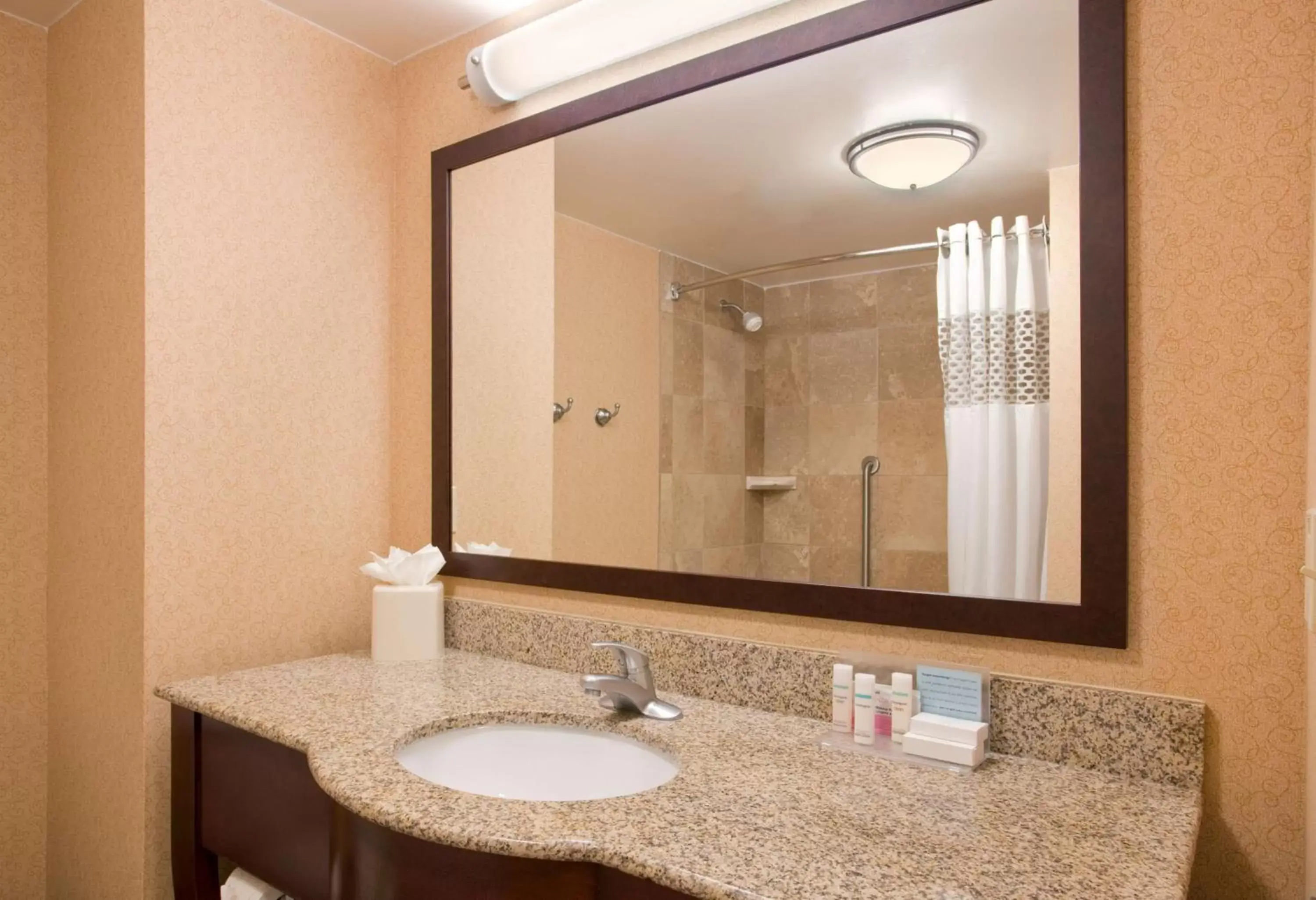 Bathroom in Hampton Inn & Suites Omaha Southwest-La Vista