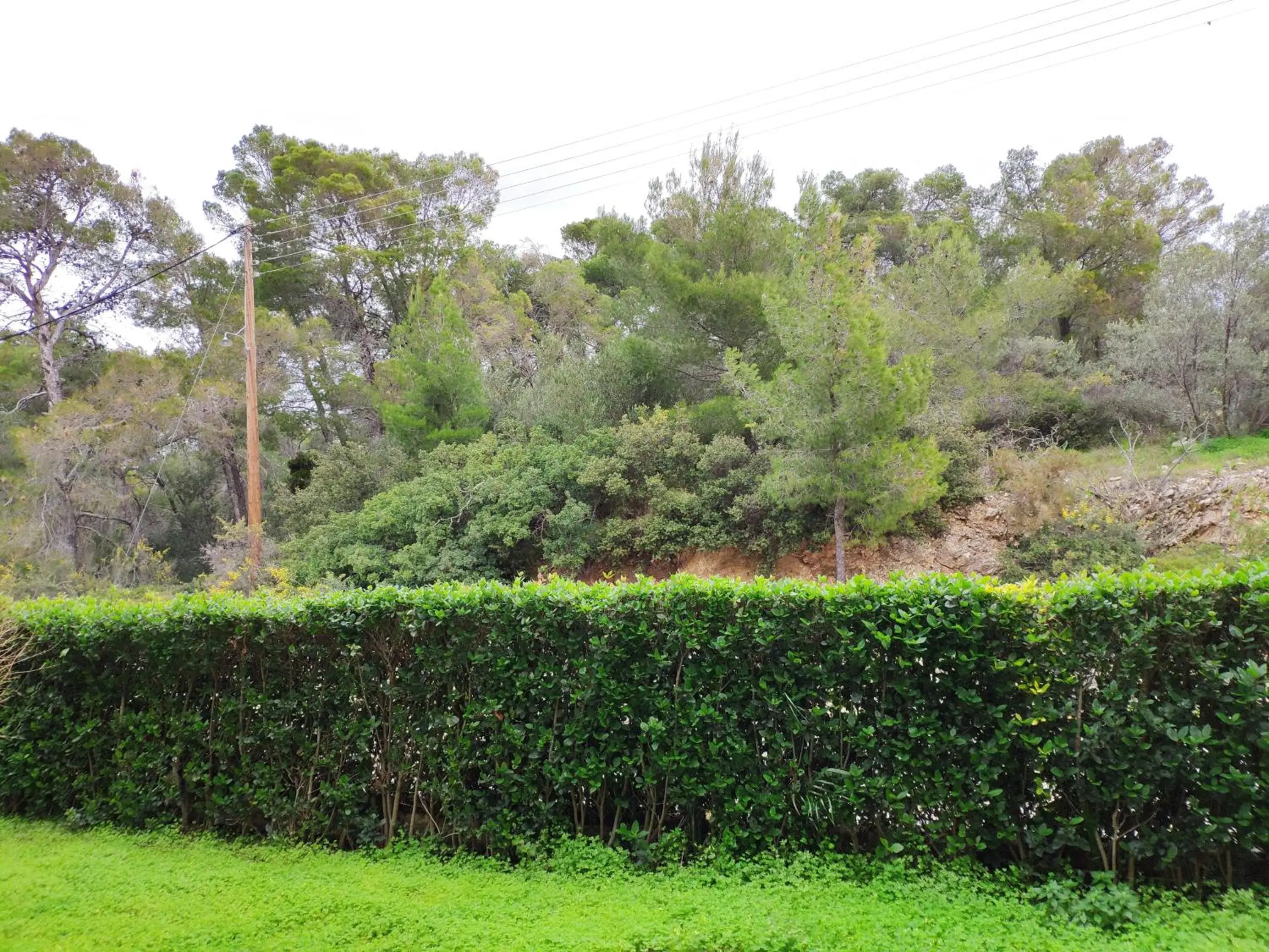 Natural landscape in Xenia Poros Image Hotel