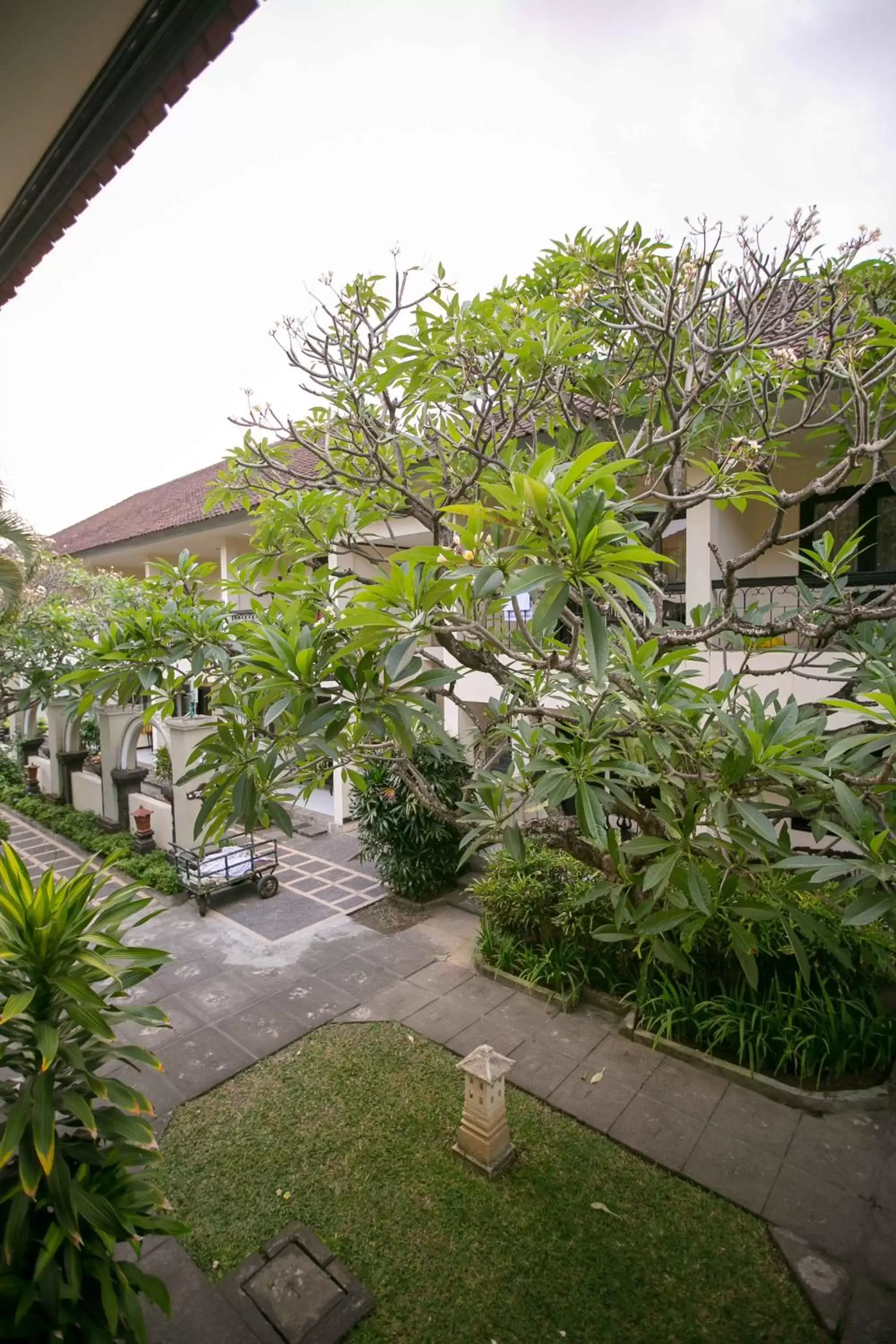 Garden view in Legian Paradiso Hotel