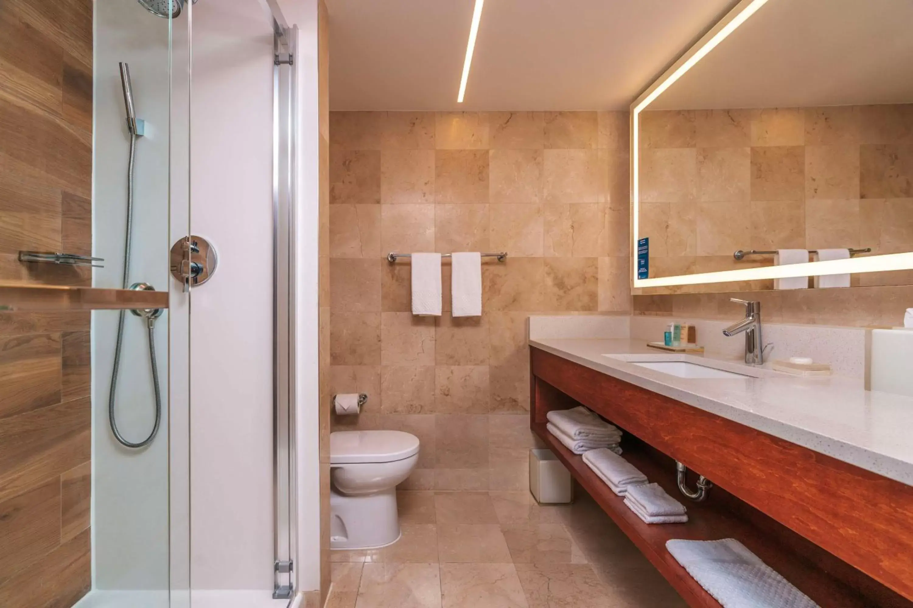 Bathroom in Hilton Aruba Caribbean Resort & Casino