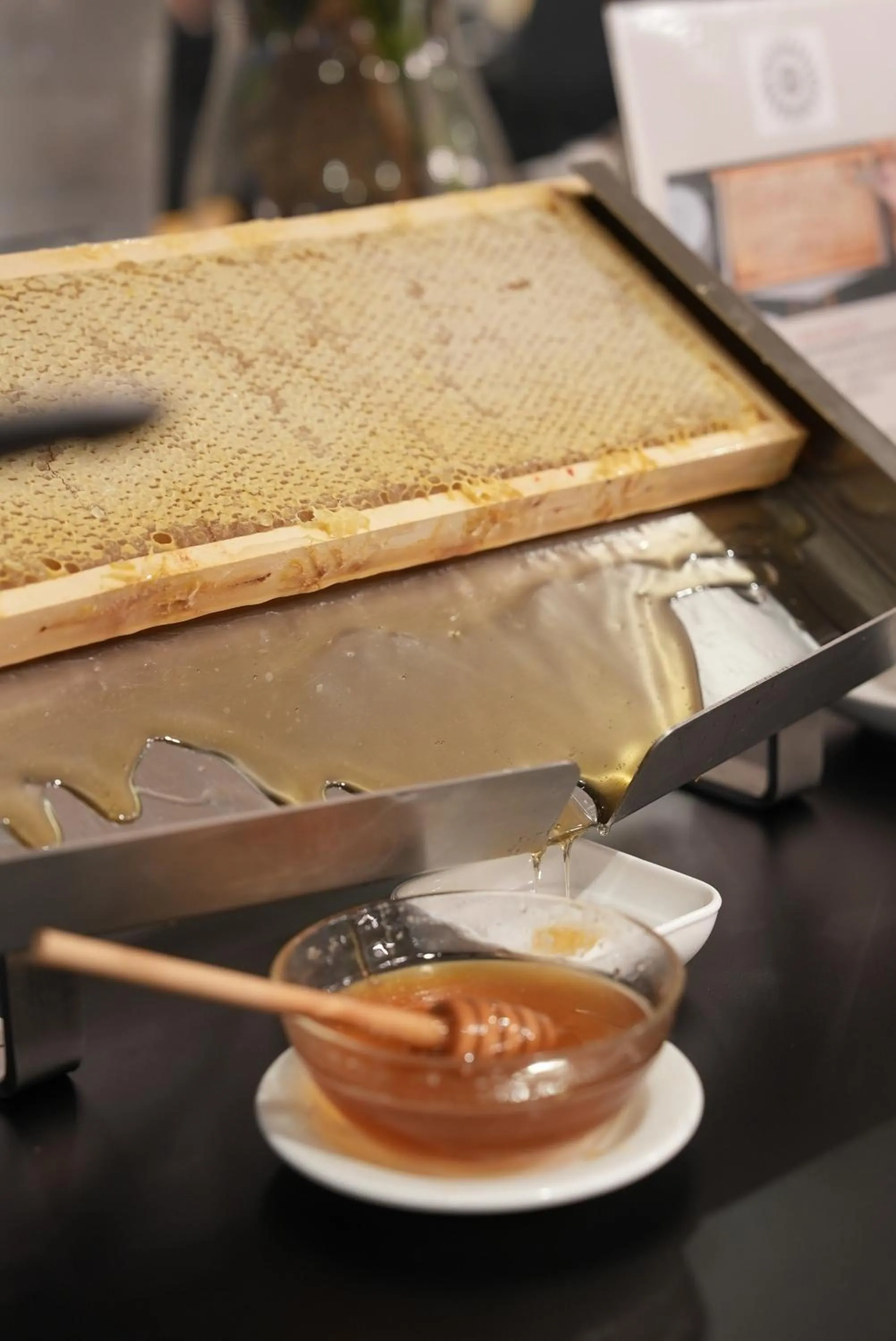 Food and drinks in Hotel Puccini