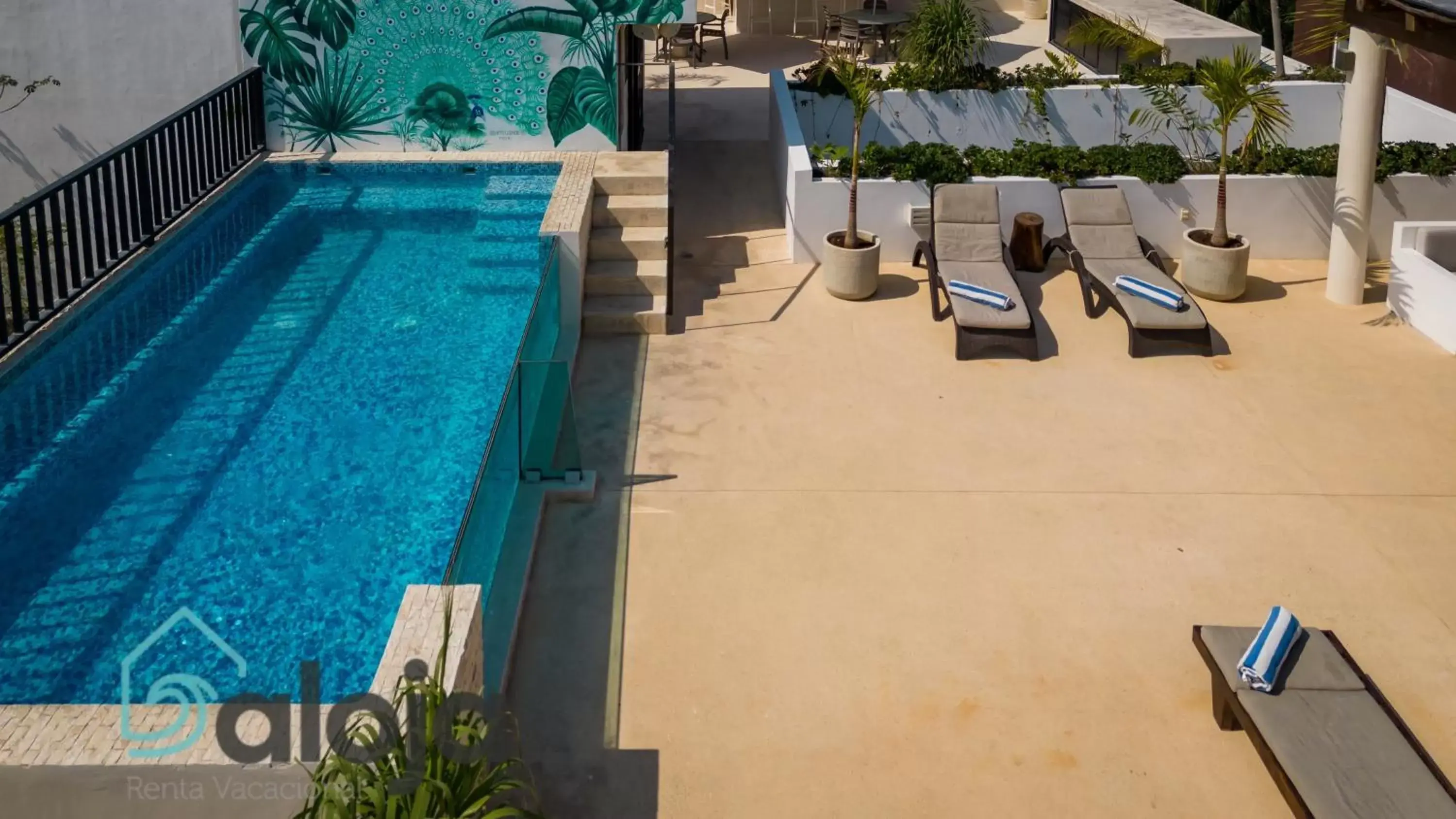 Swimming Pool in Hotel Zendero Tulum