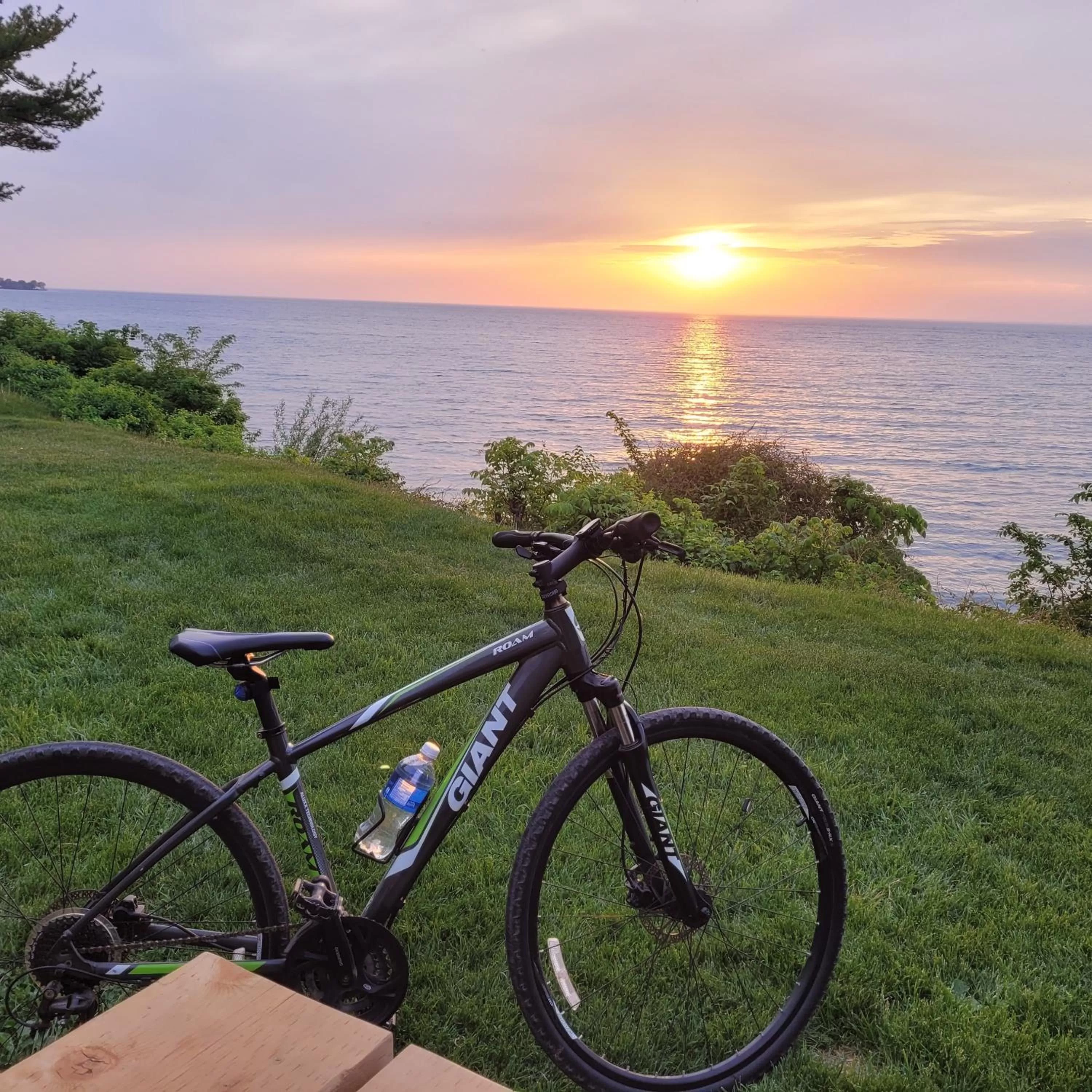 Cycling in La Maison de Sophie