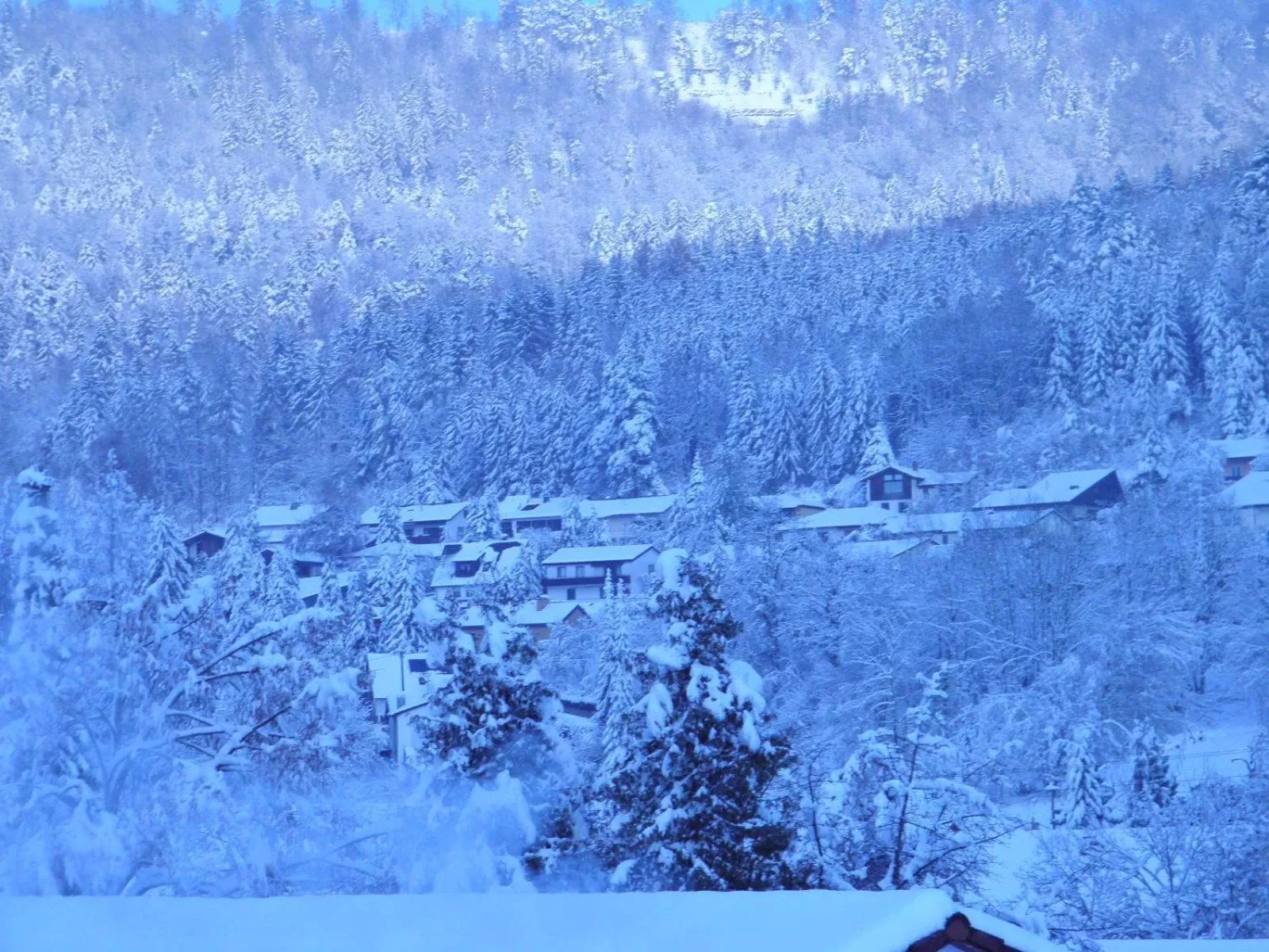 Winter in Alb Hotel Schalksburg