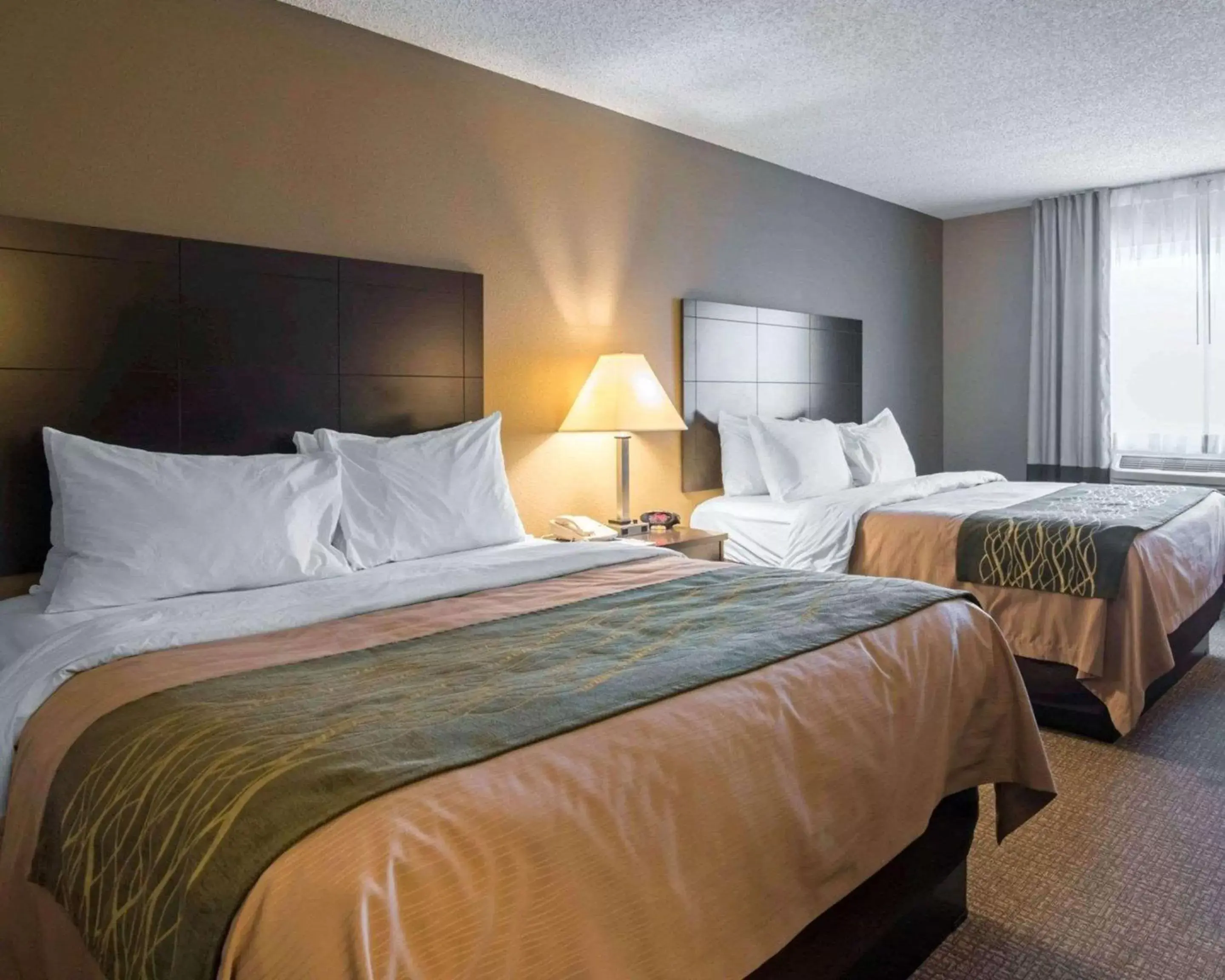 Photo of the whole room, Bed in Comfort Inn Saugerties Photo of the whole room, Bed in Comfort Inn Saugerties