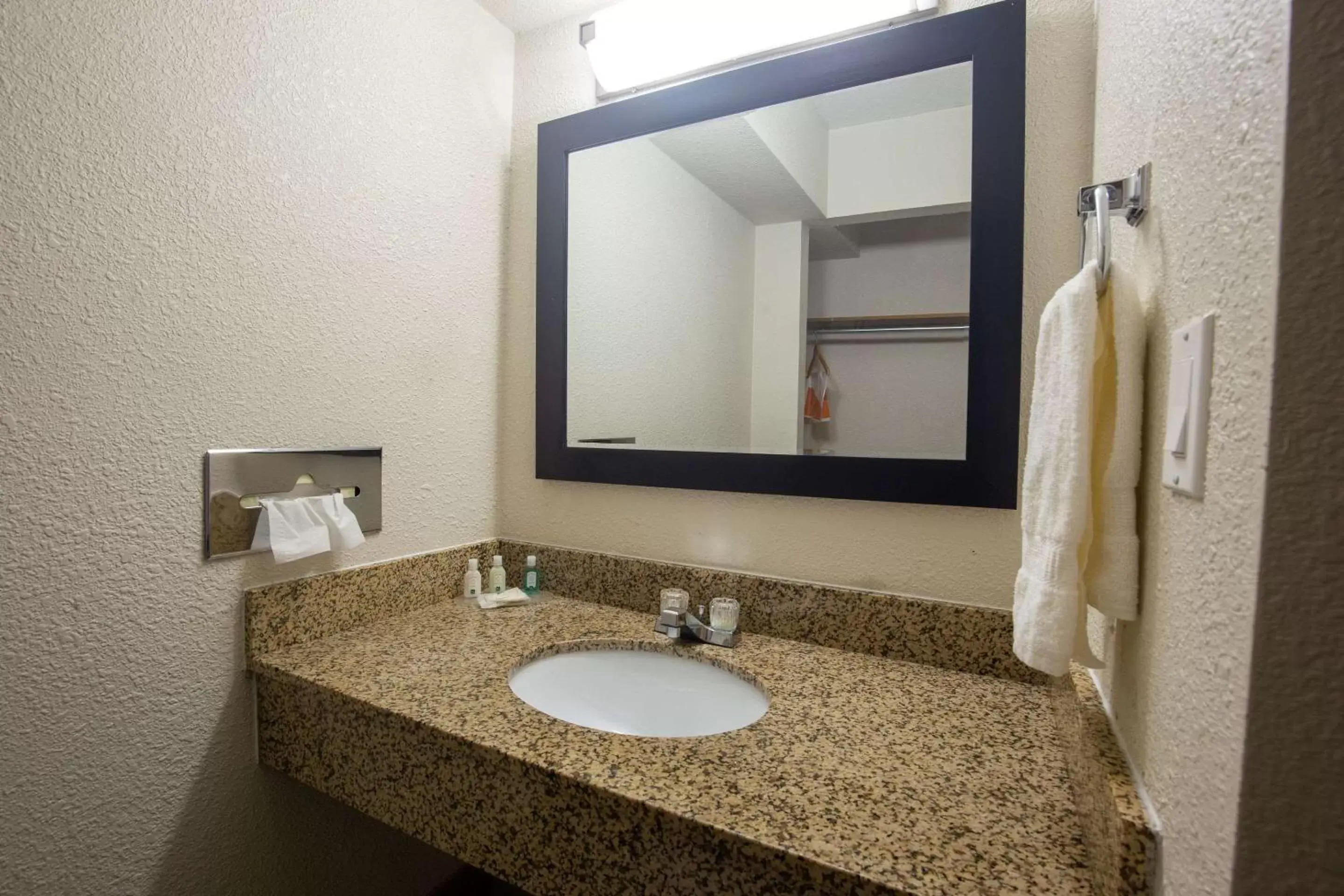 Bedroom, Bathroom in Quality Inn & Suites