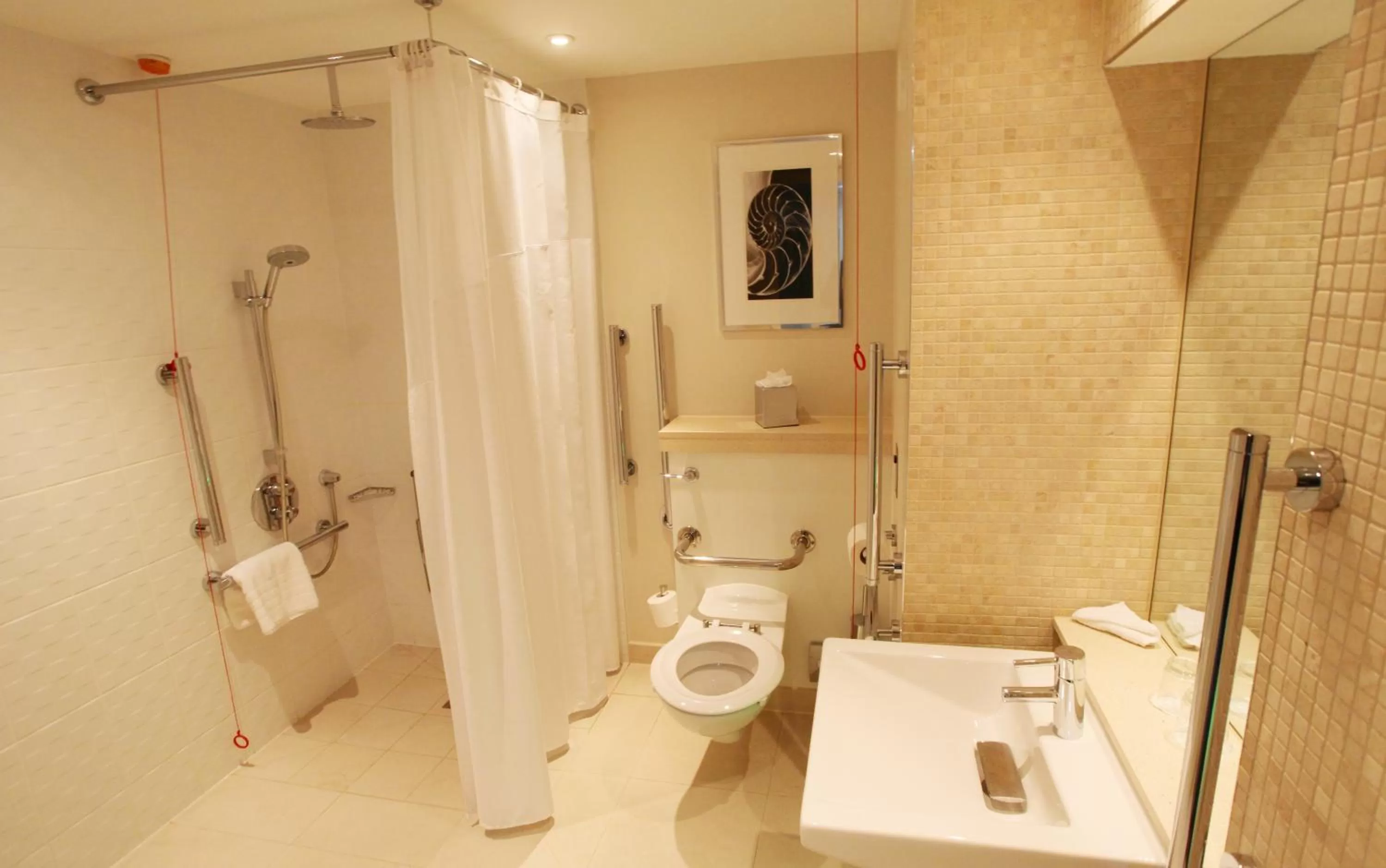King Room - Disability Access in Crowne Plaza Reading East